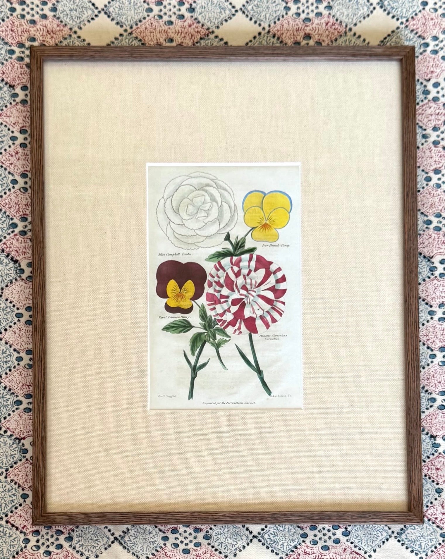 Floricultural Cabinet Prints