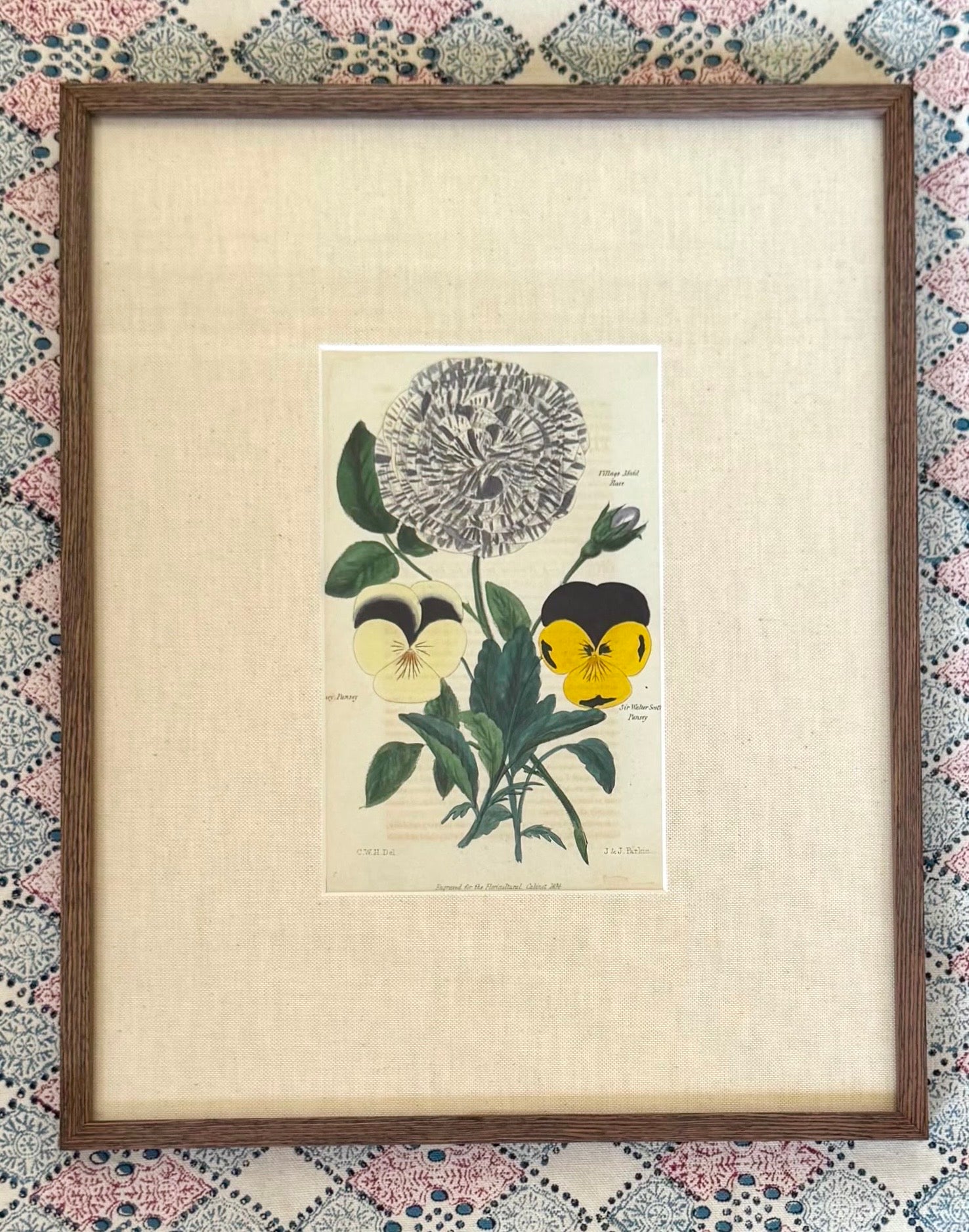 Floricultural Cabinet Prints