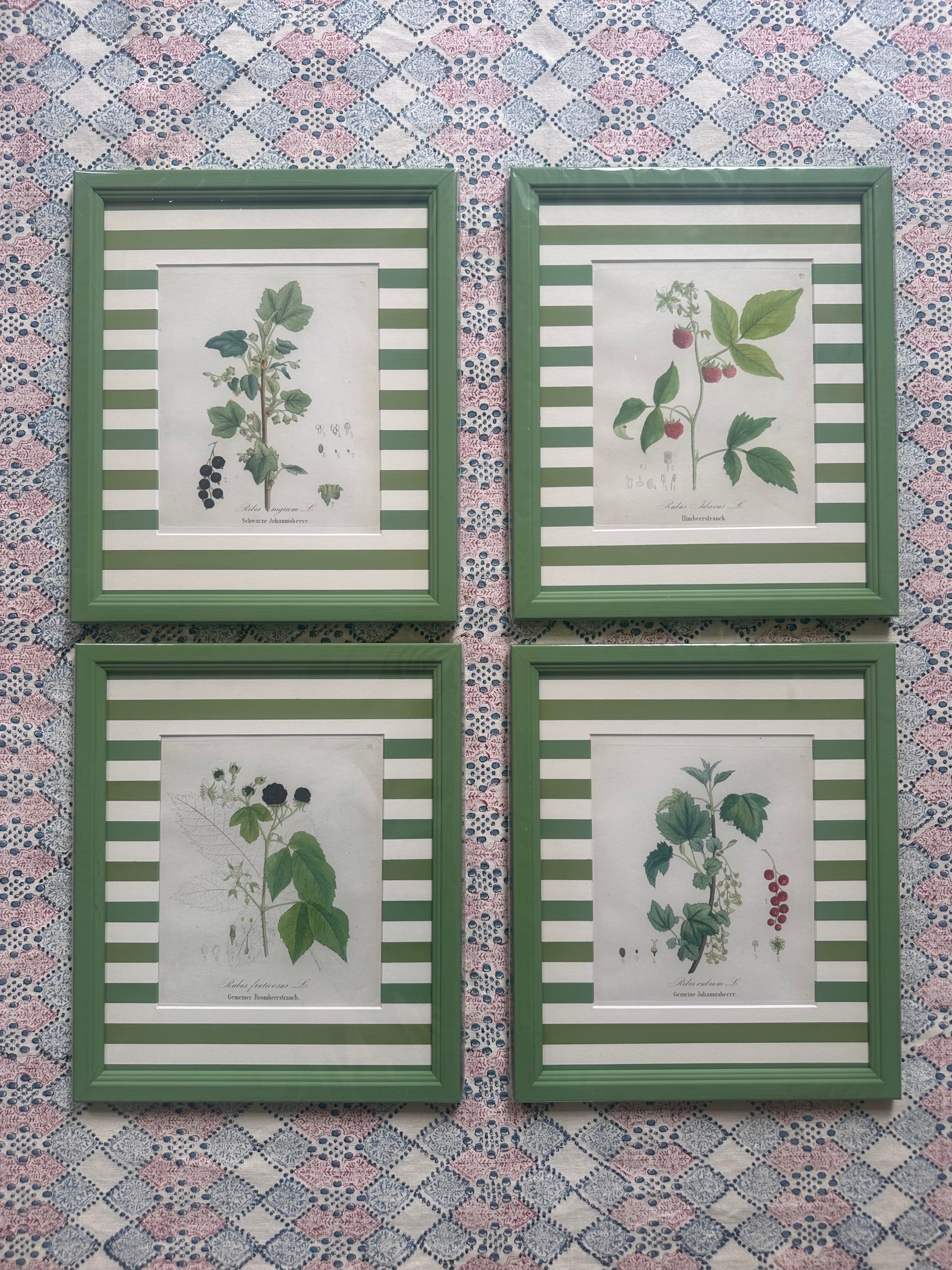 Berries Nineteenth Century Antique Prints