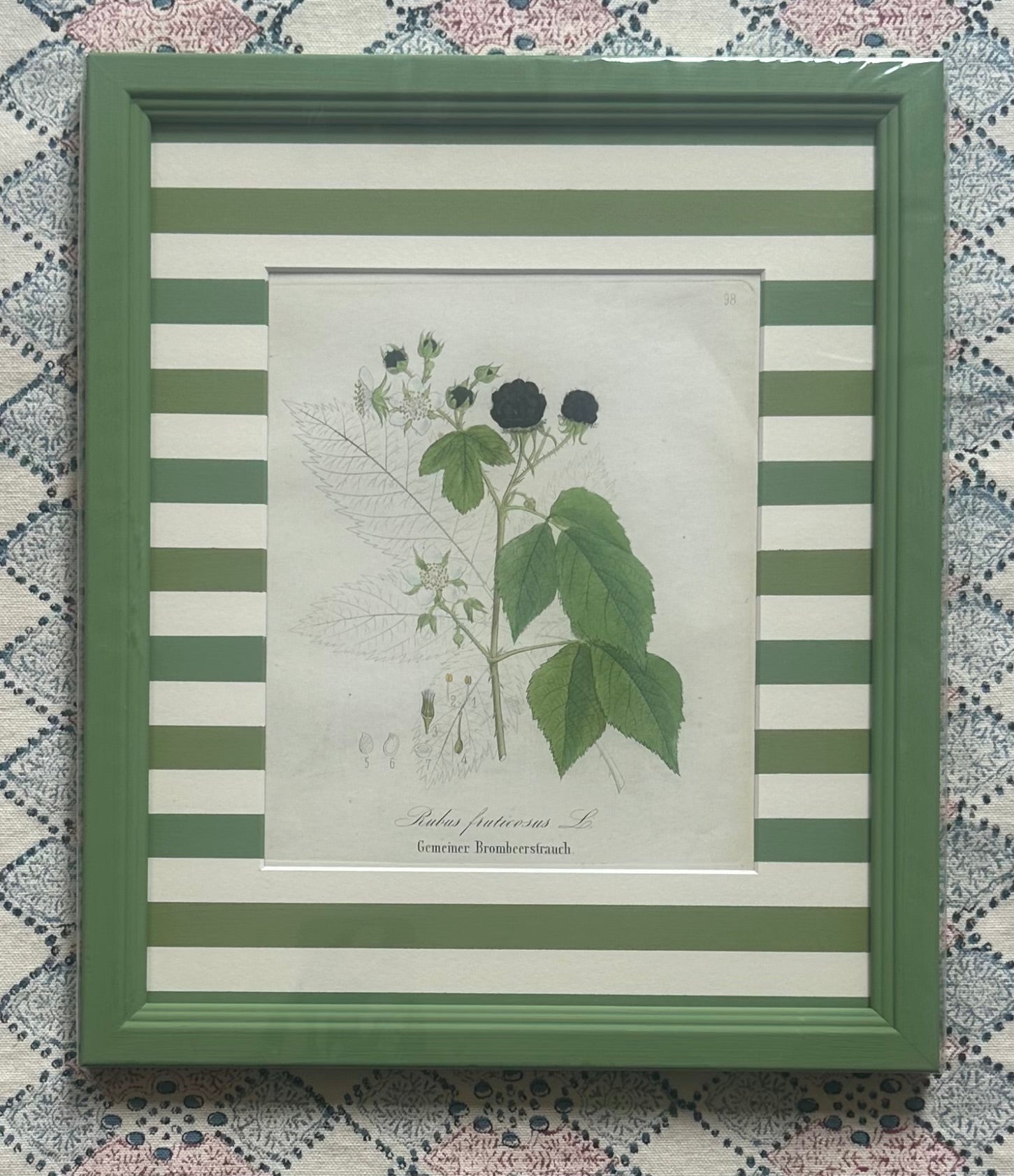 Berries Nineteenth Century Antique Prints