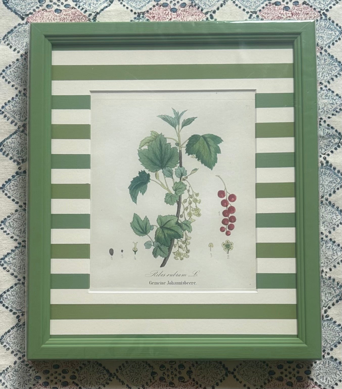 Berries Nineteenth Century Antique Prints