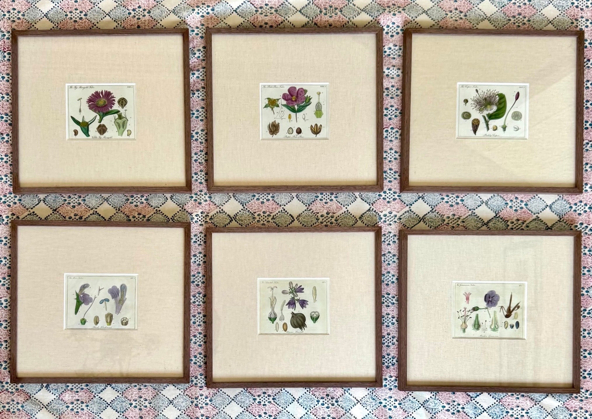 Small Hand Coloured 19th Century Botanical Prints