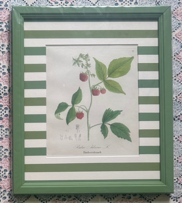 Berries Nineteenth Century Antique Prints