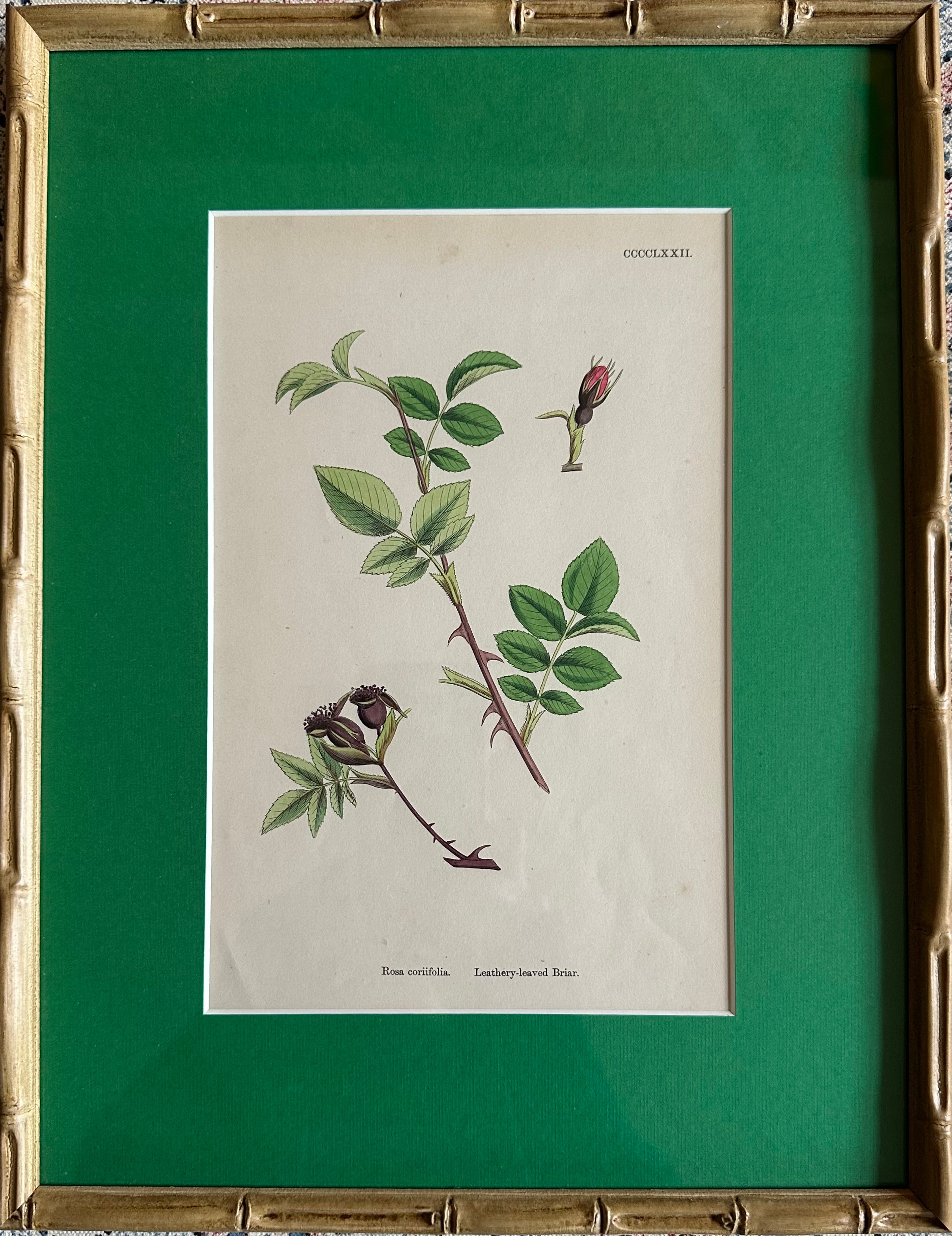 Victorian Illustration 1863