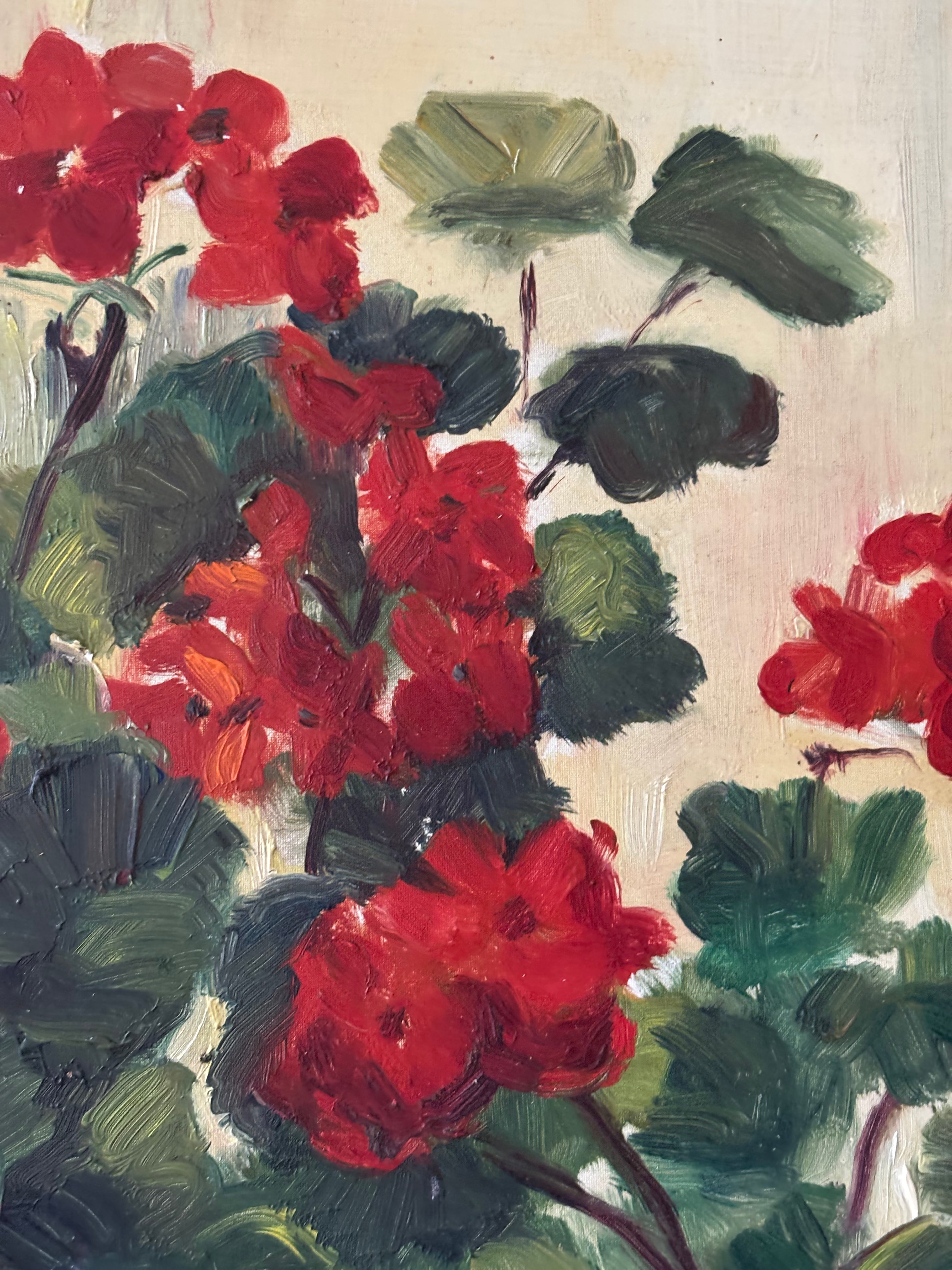 French Geraniums