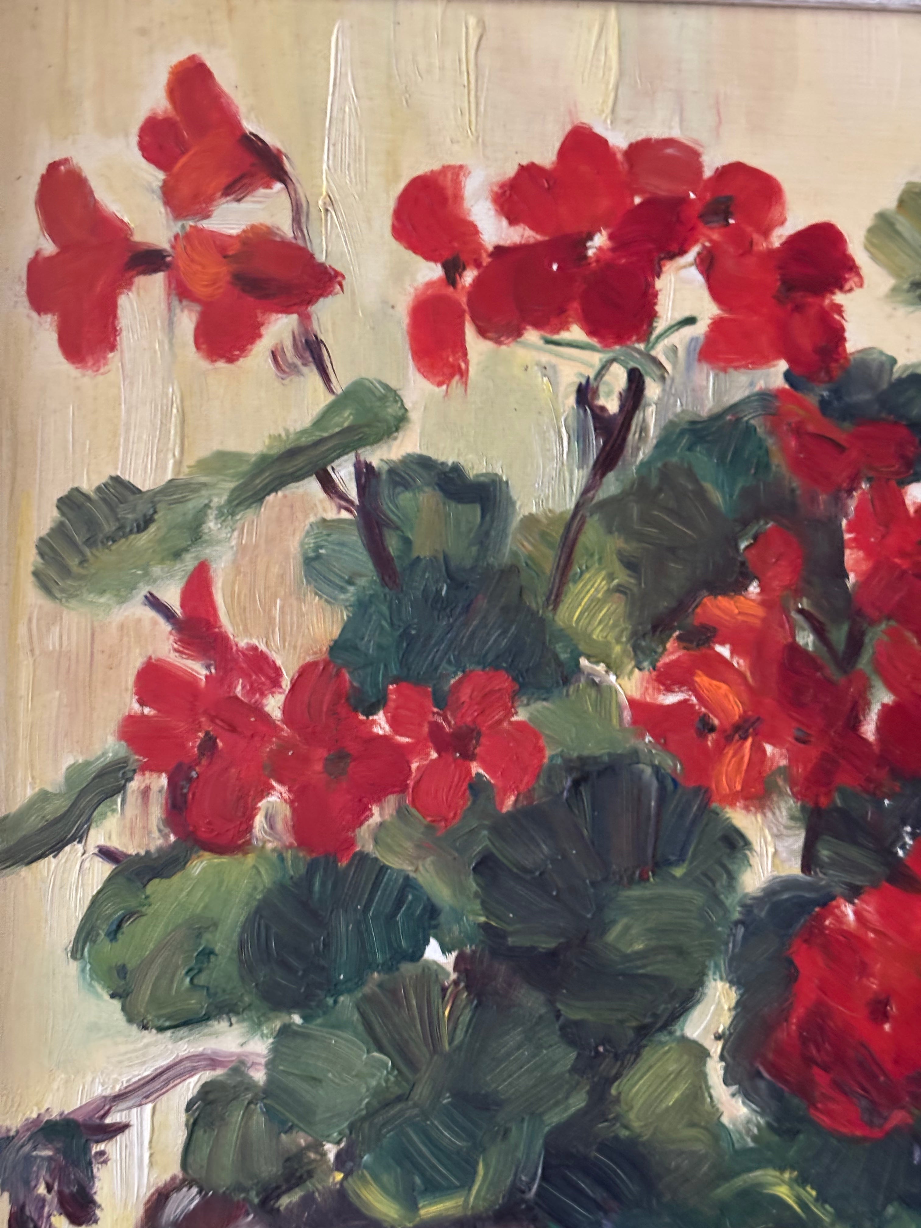 French Geraniums