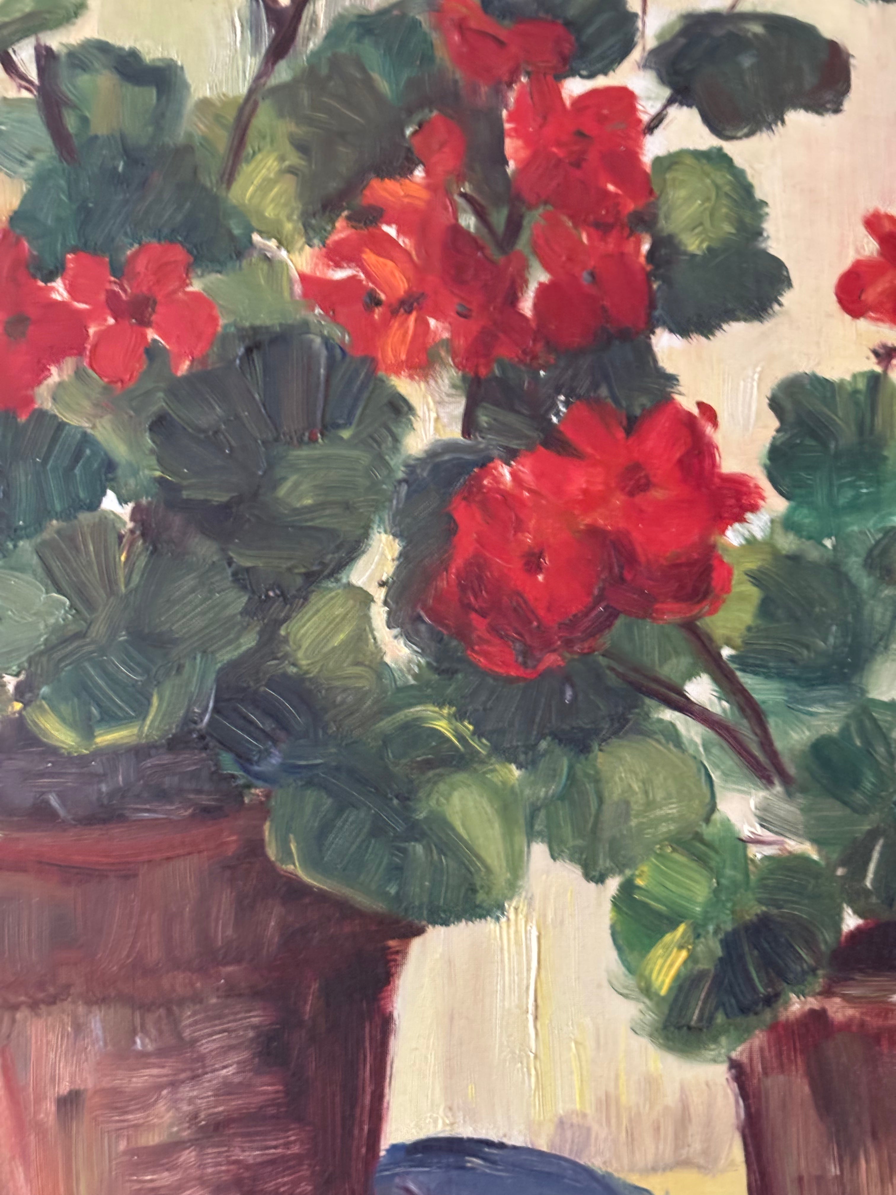 French Geraniums