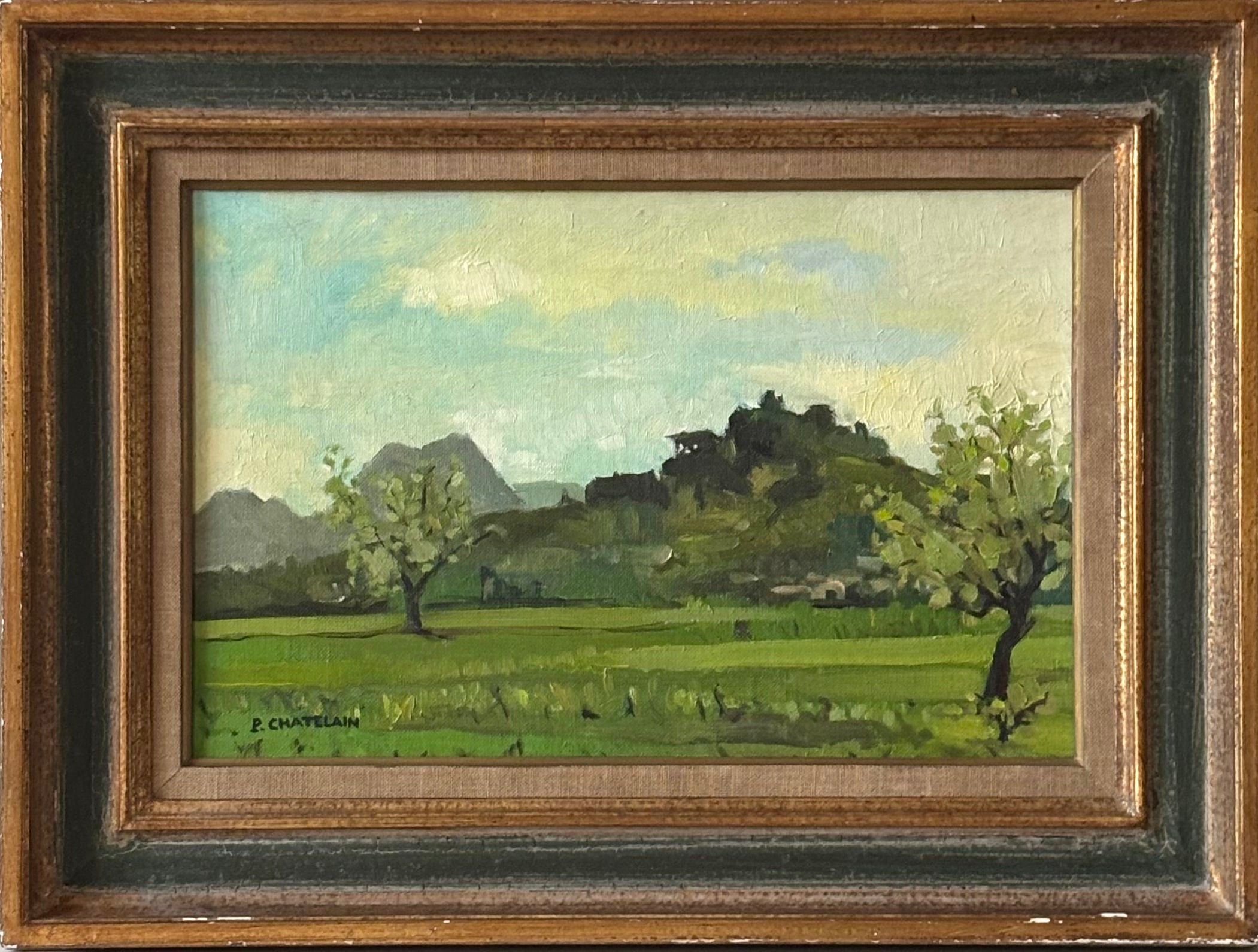 Trees in the Pasture