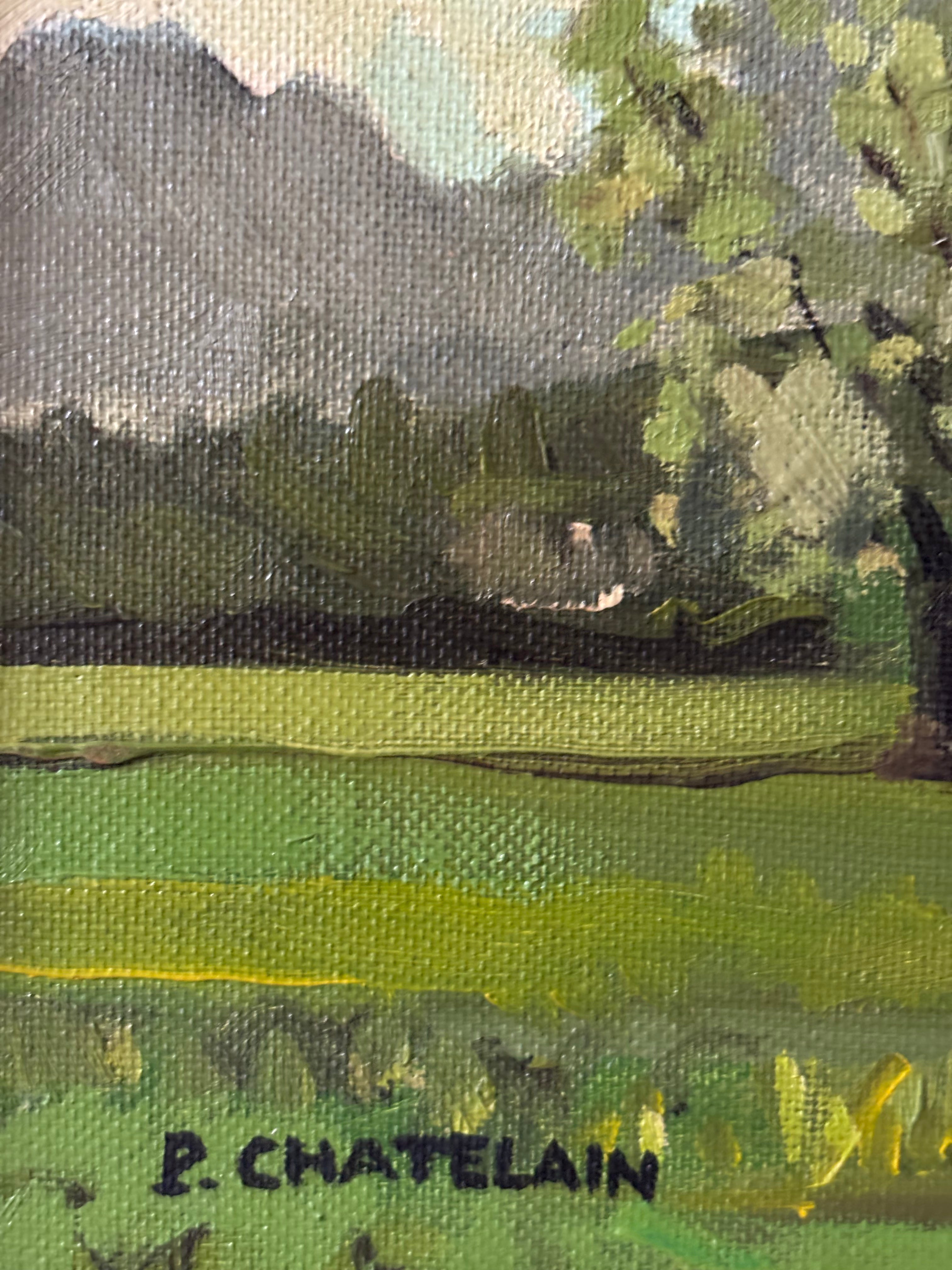 Trees in the Pasture
