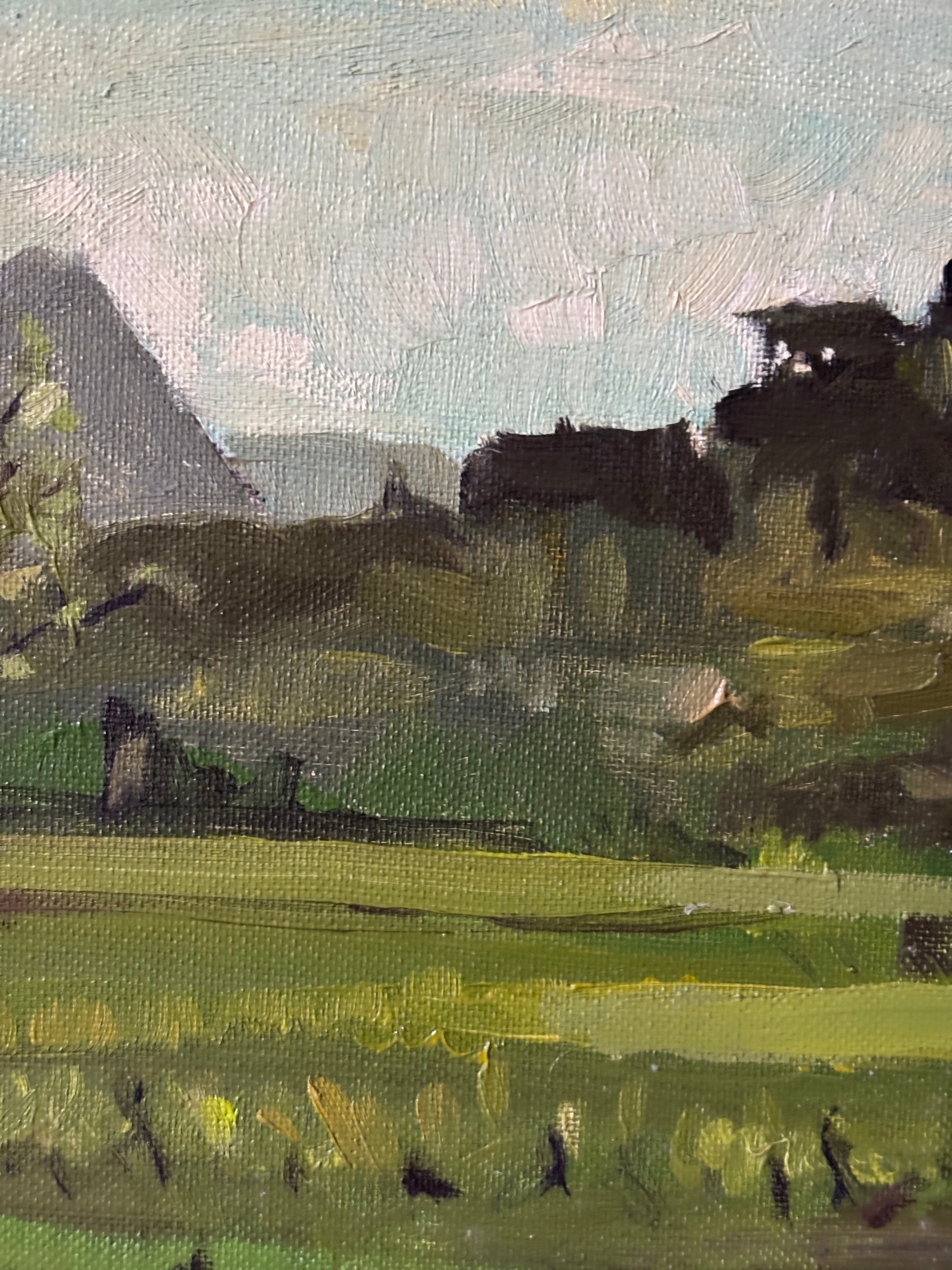 Trees in the Pasture
