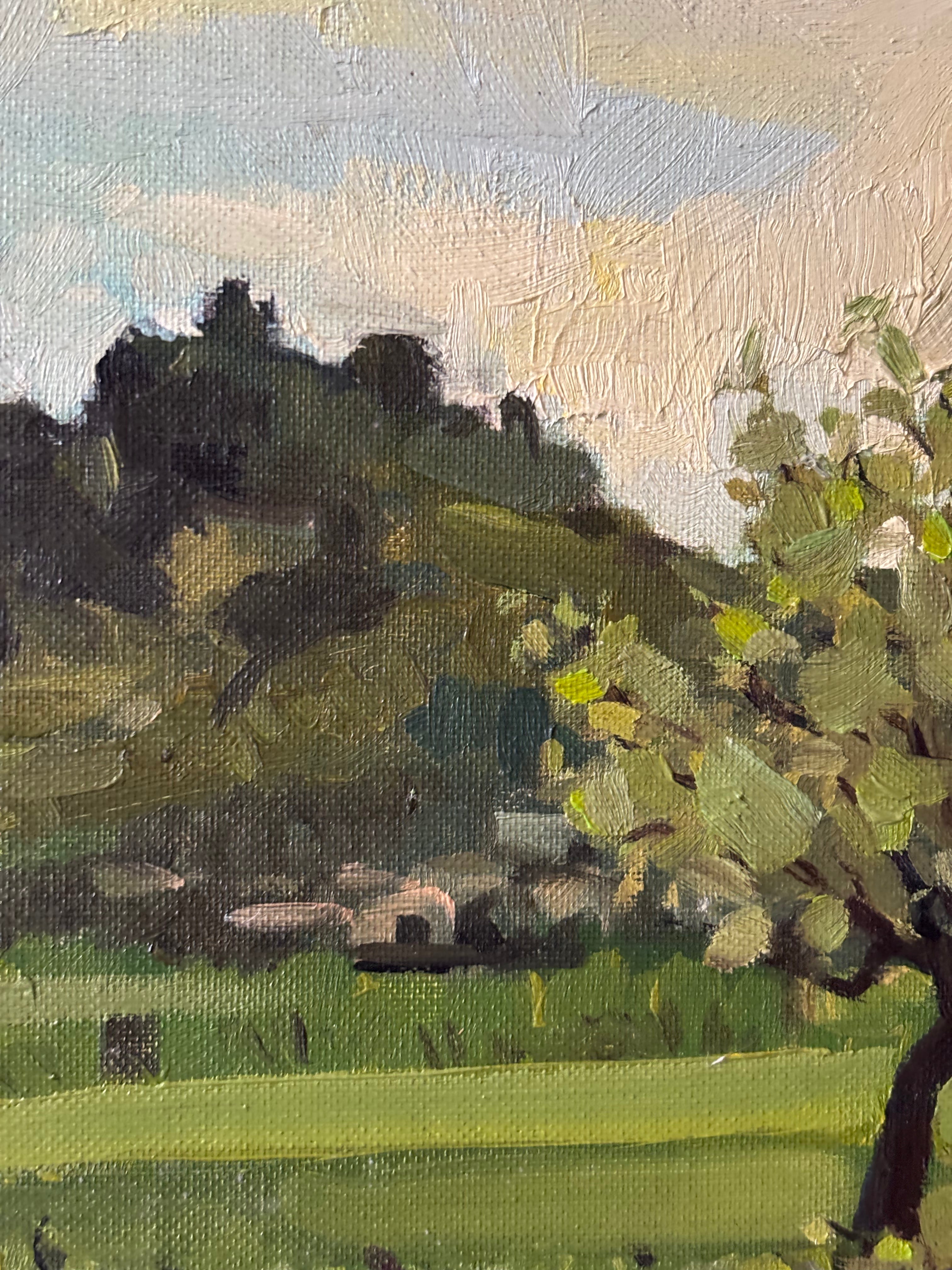 Trees in the Pasture