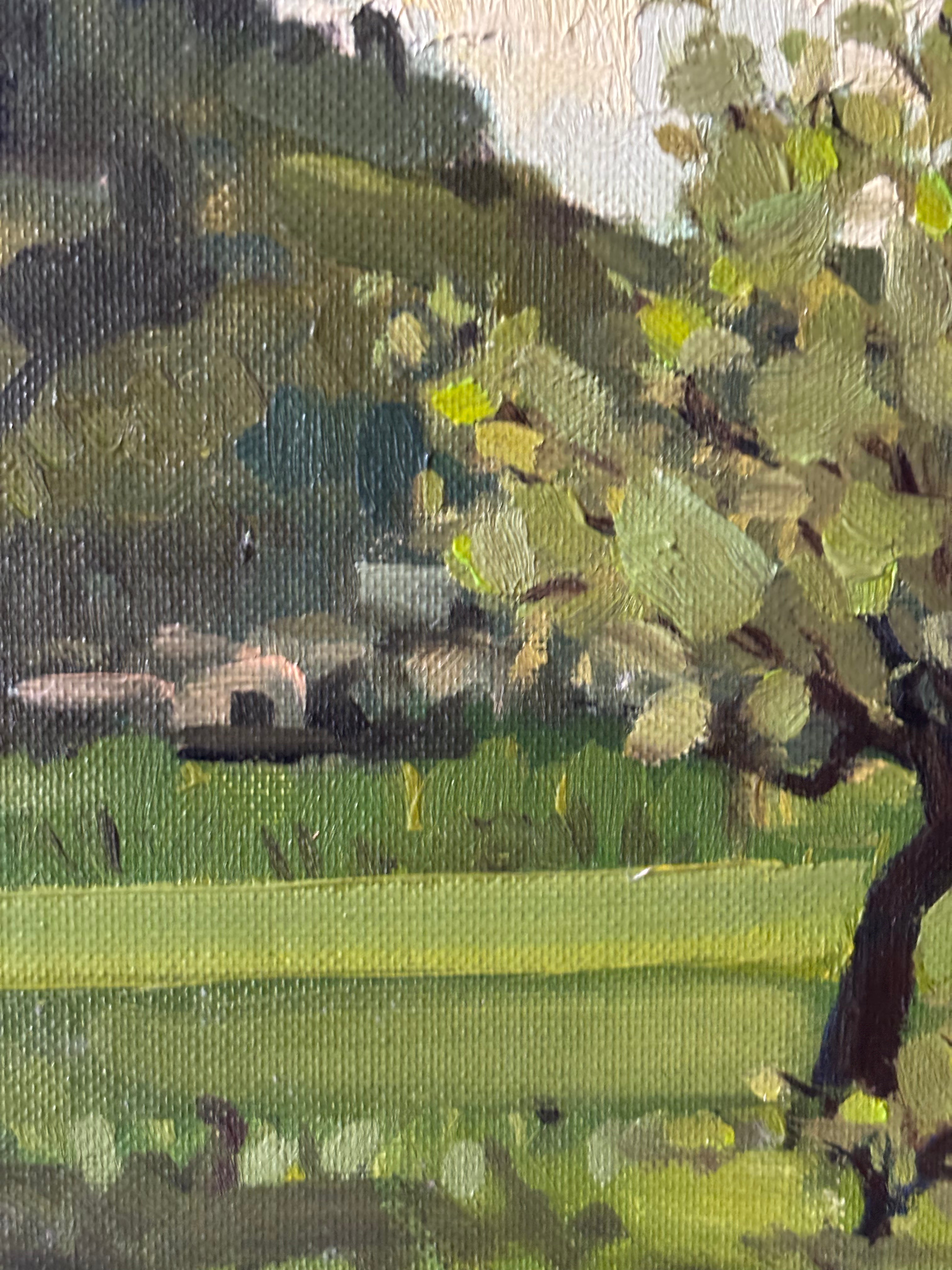 Trees in the Pasture