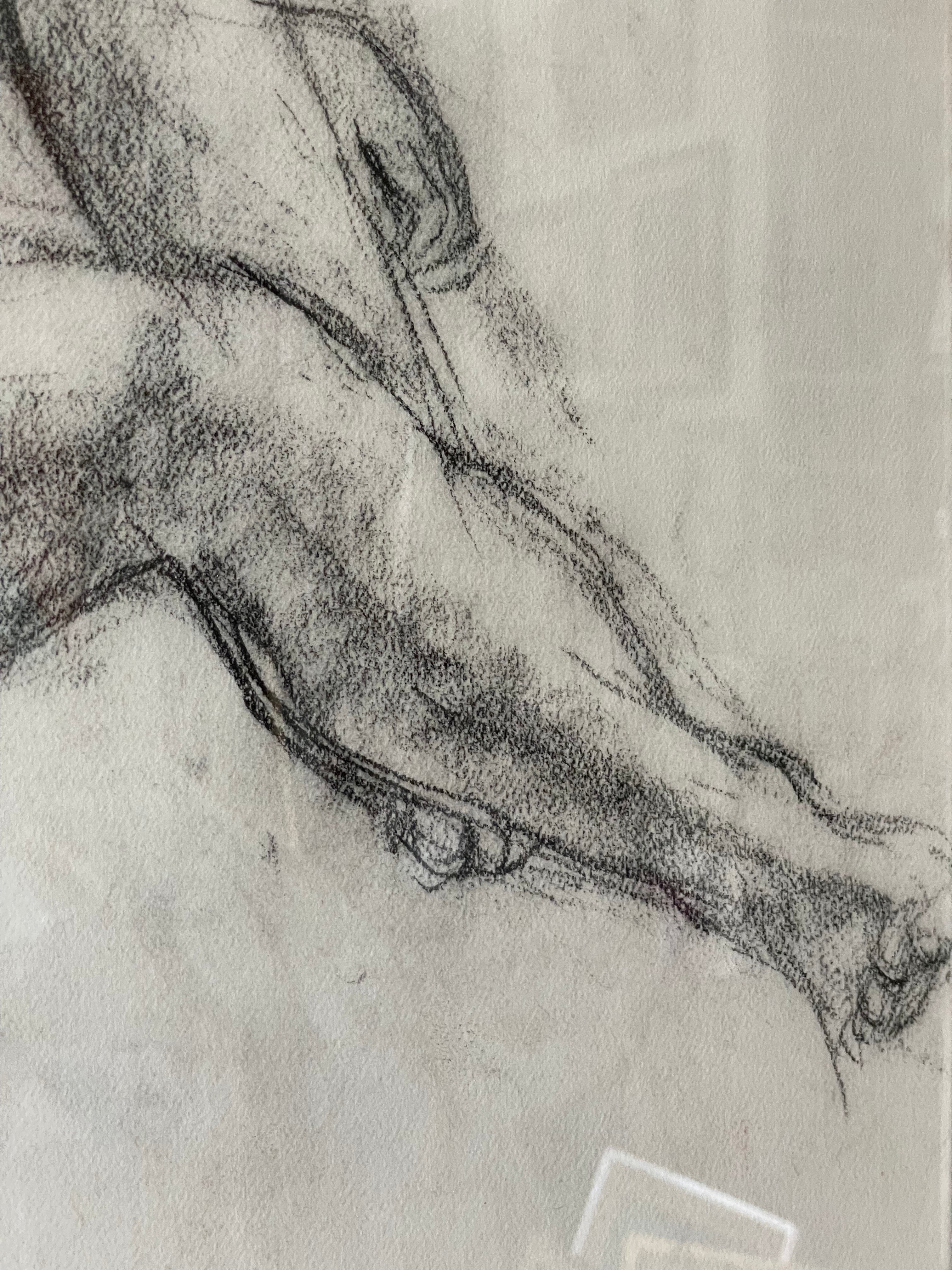 Nude 8
