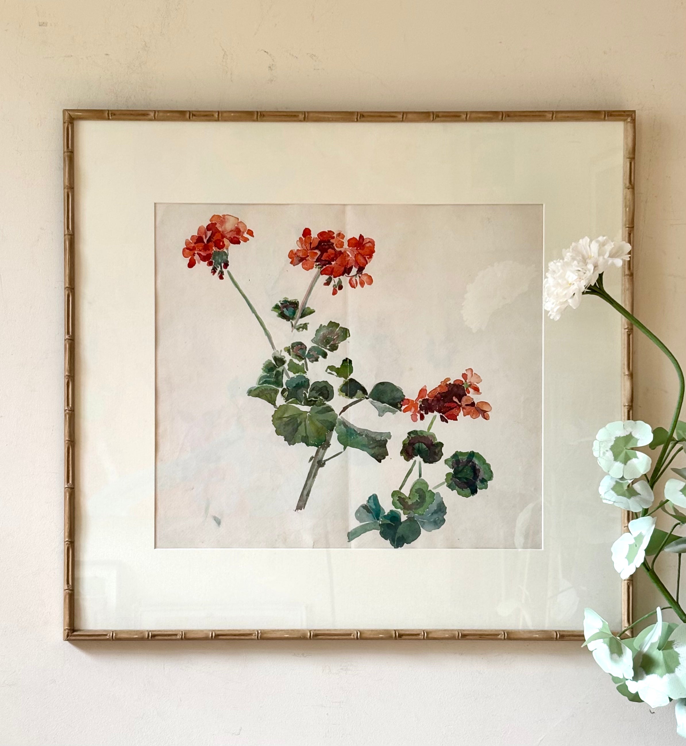 Red Geraniums