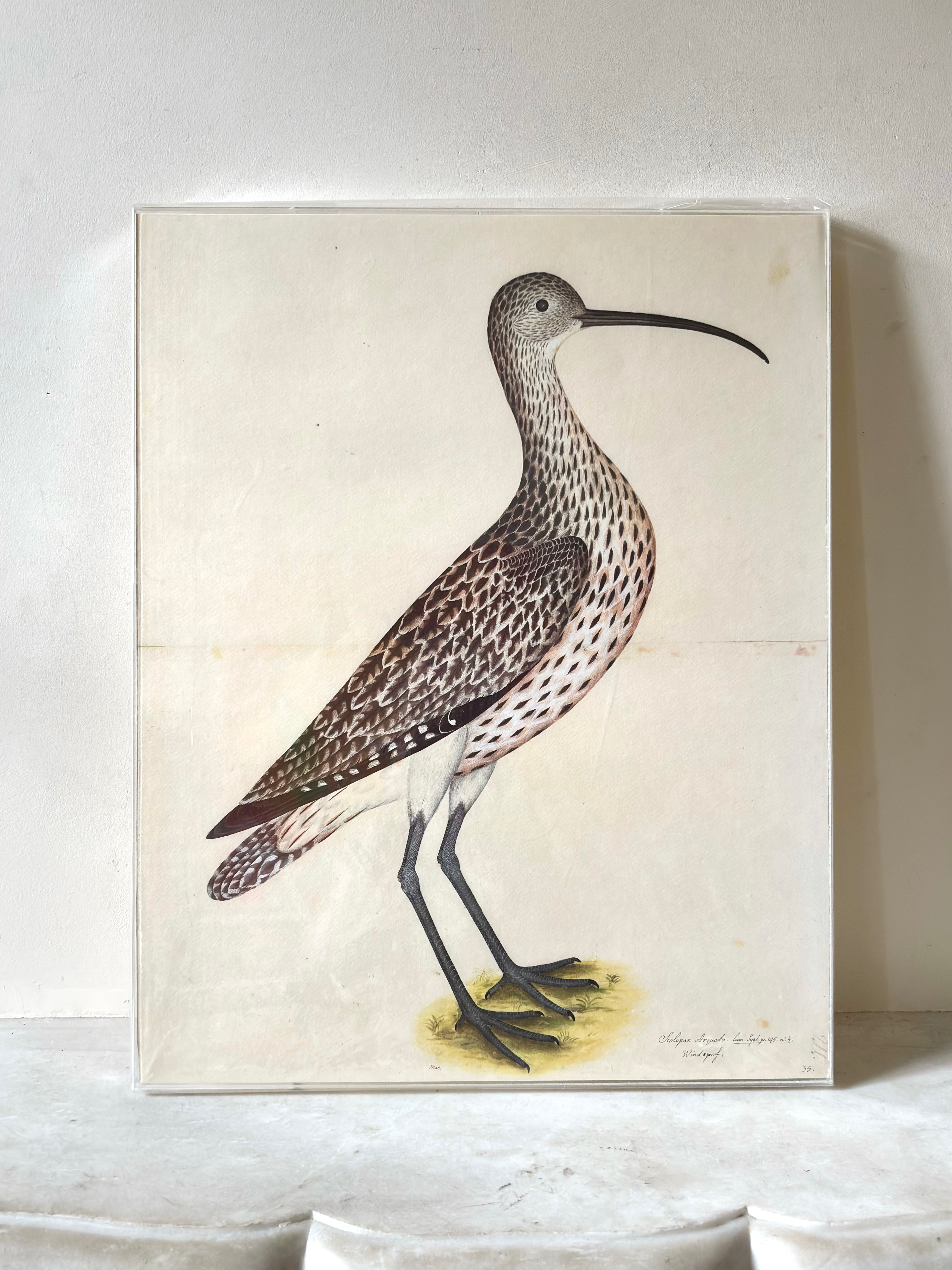 Swedish Bird Prints
