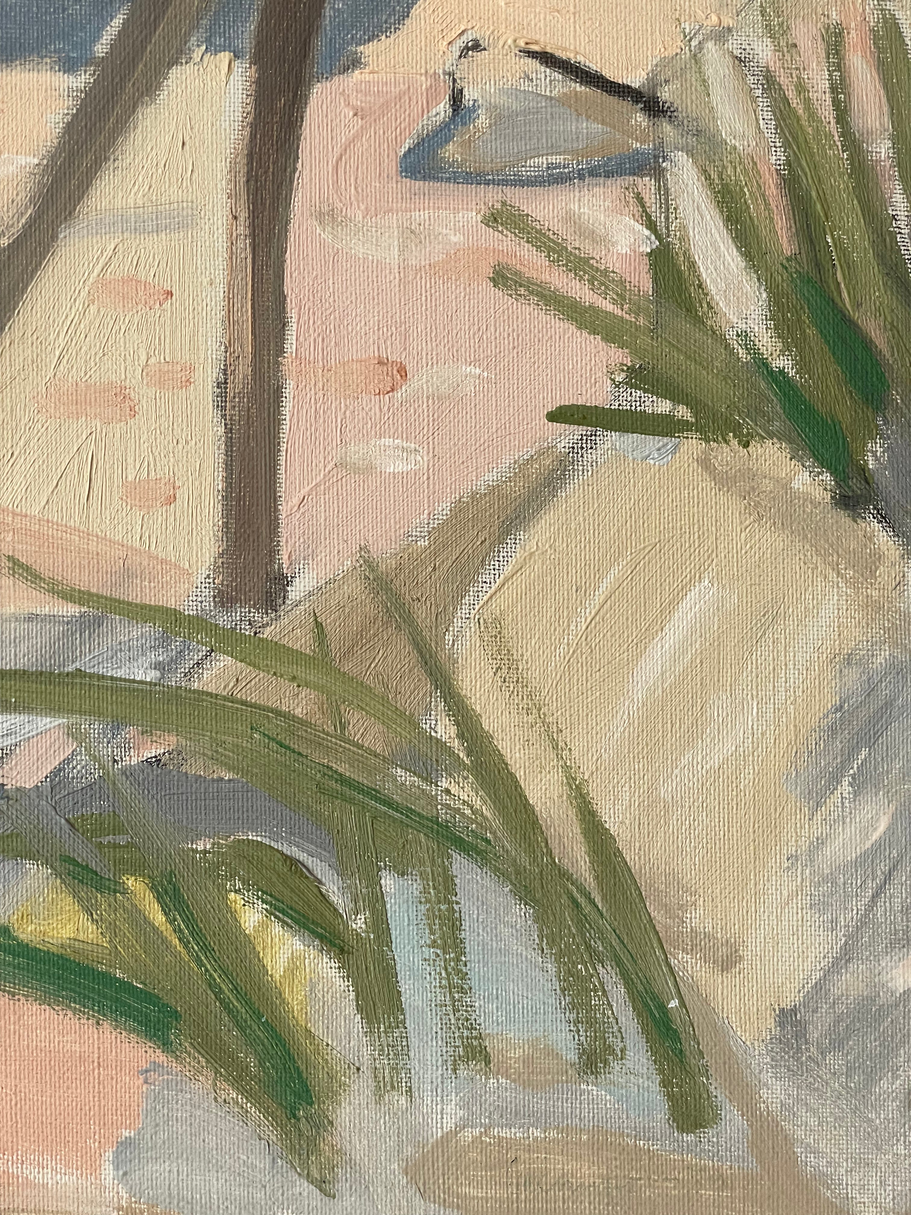 Sand Dunes