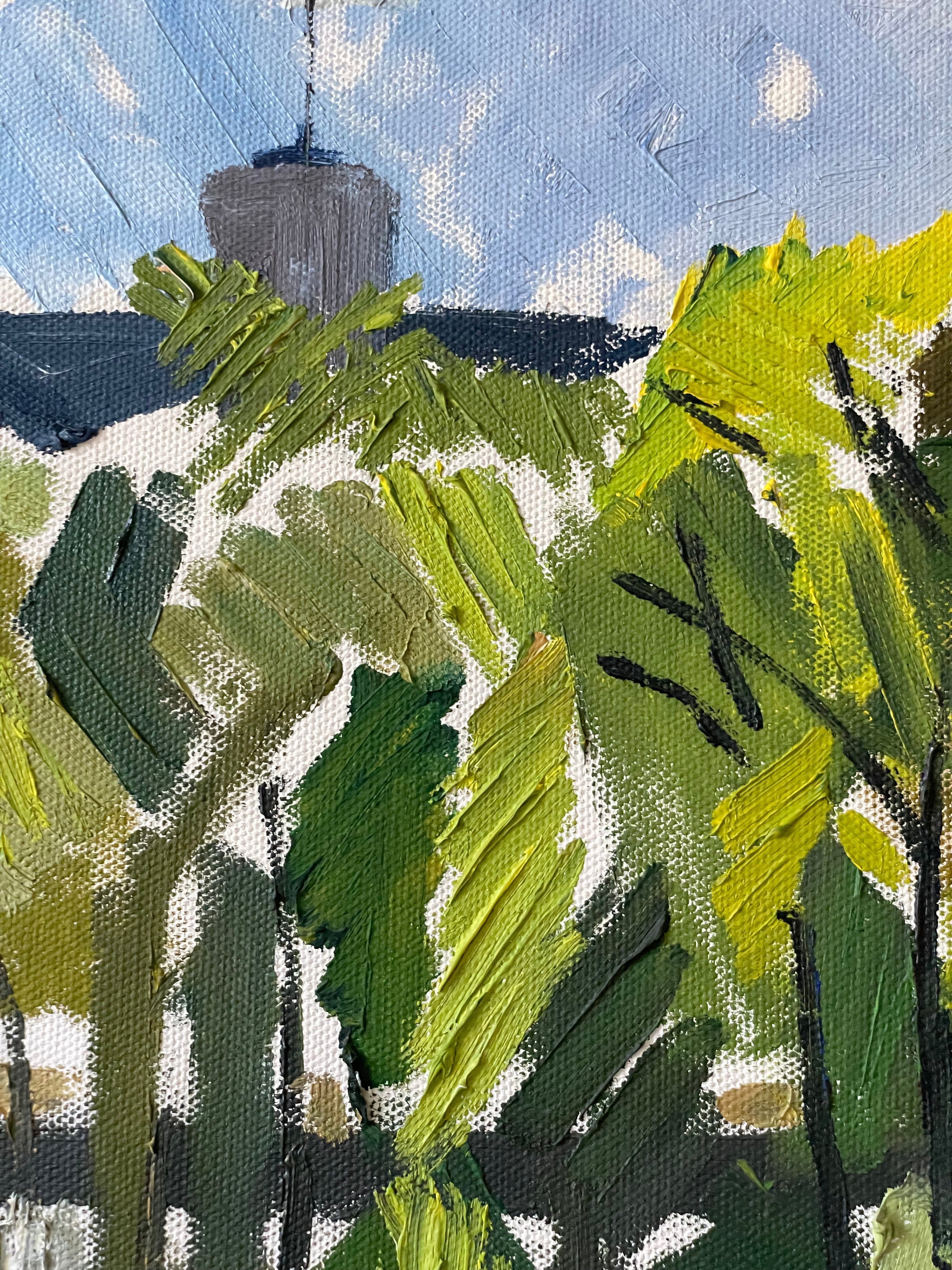 Large Swedish Landscape
