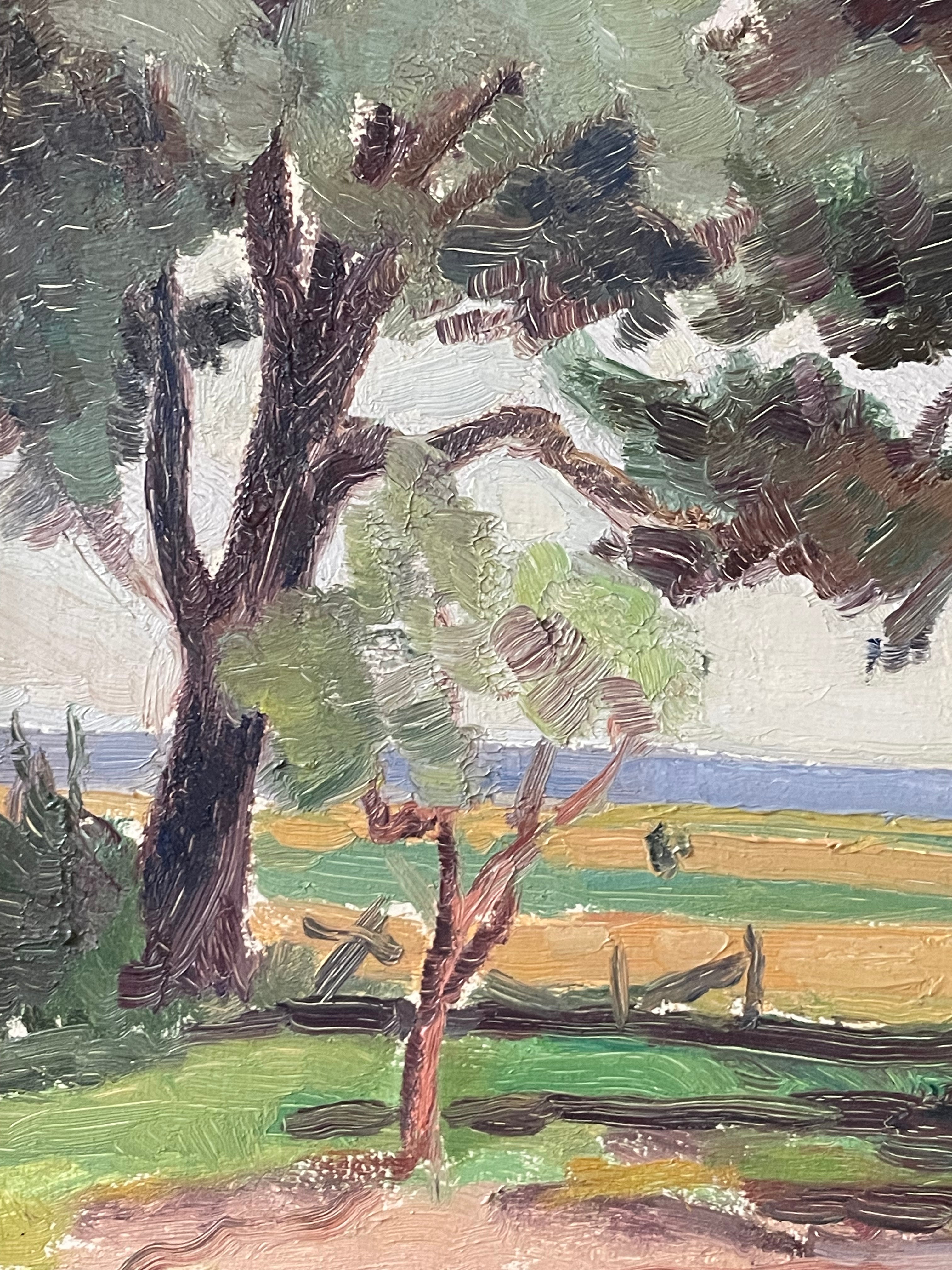Trees by the Fields