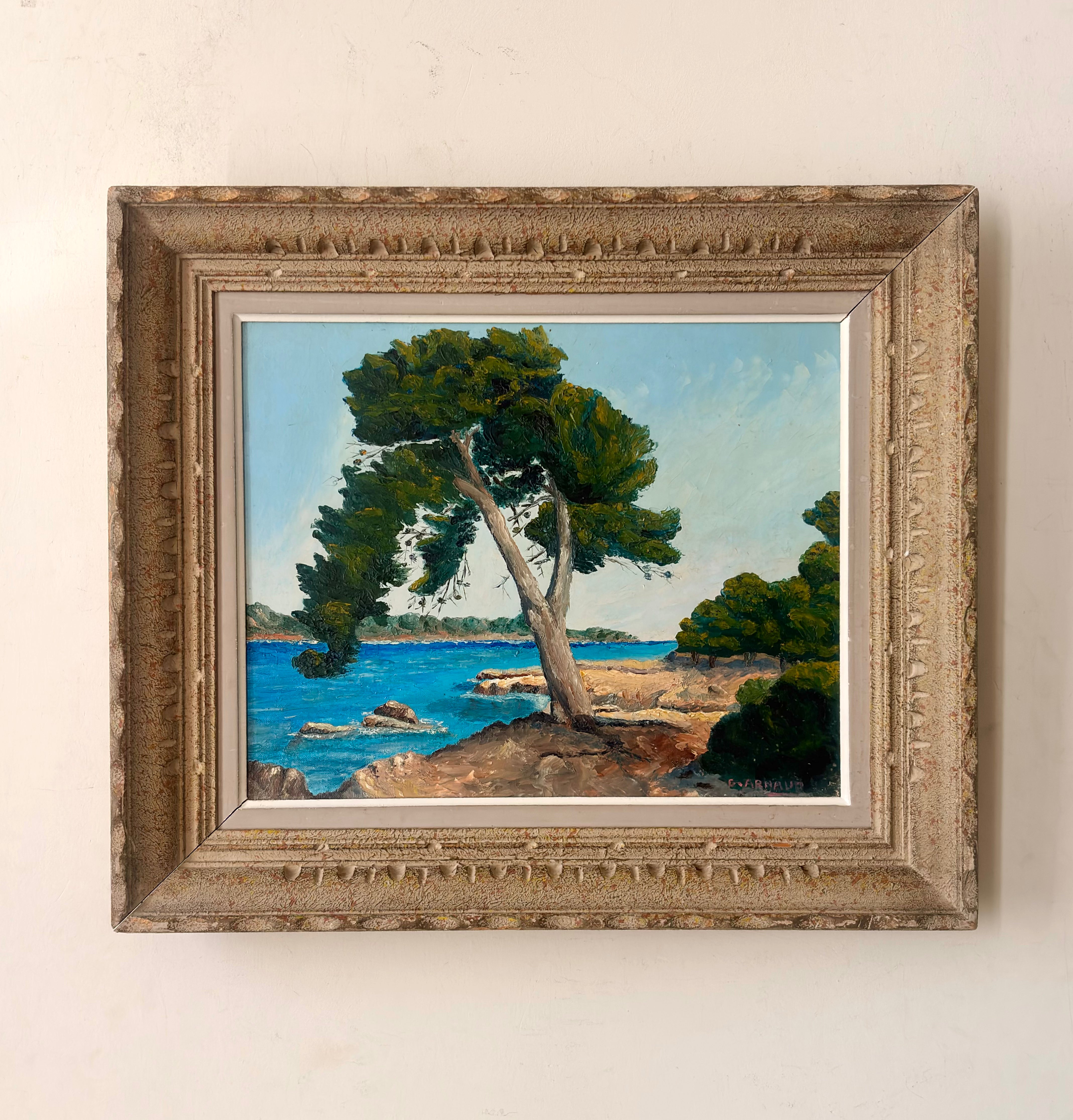 Tree in the Mediterranean