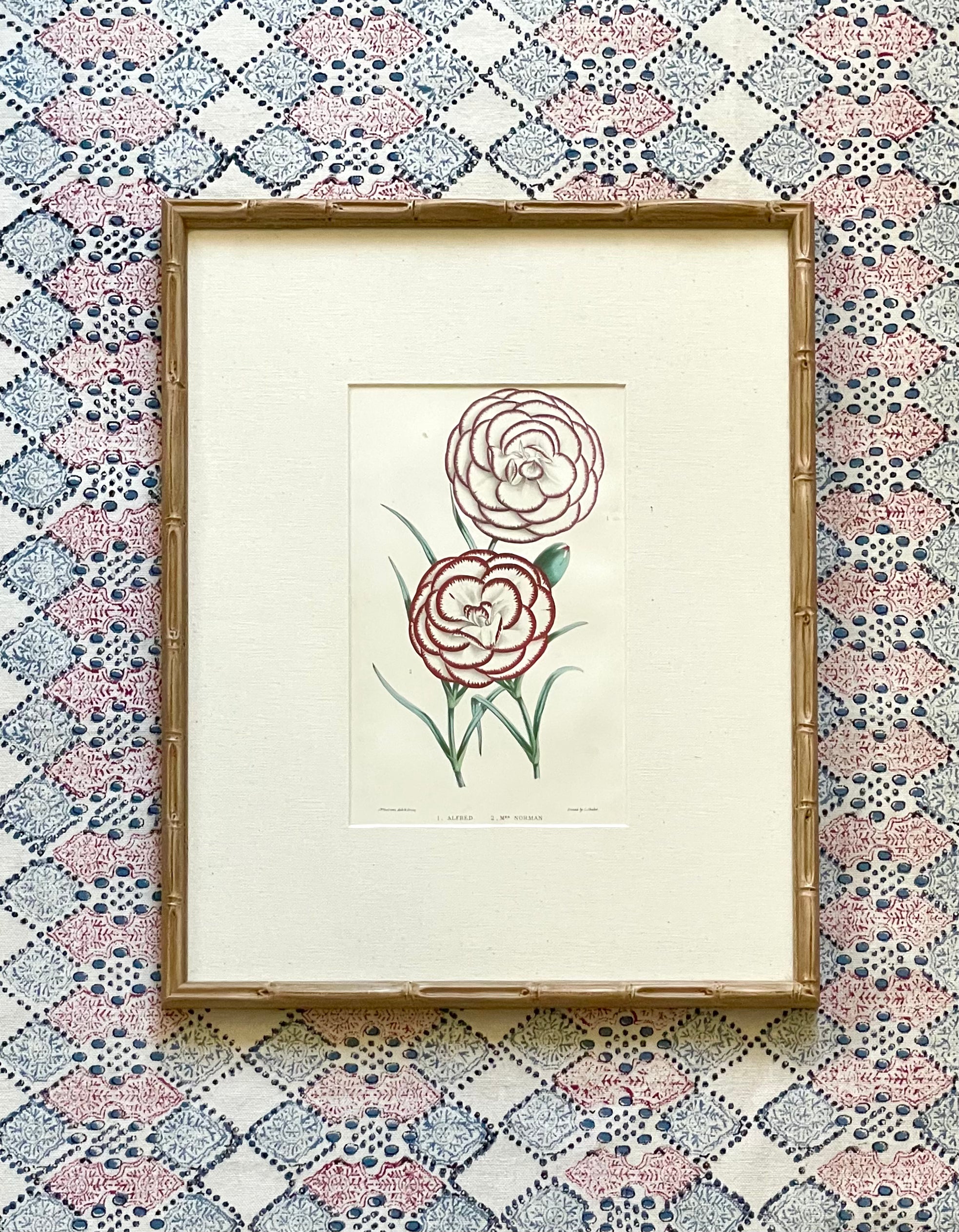 19th Century Floral Botanical Prints