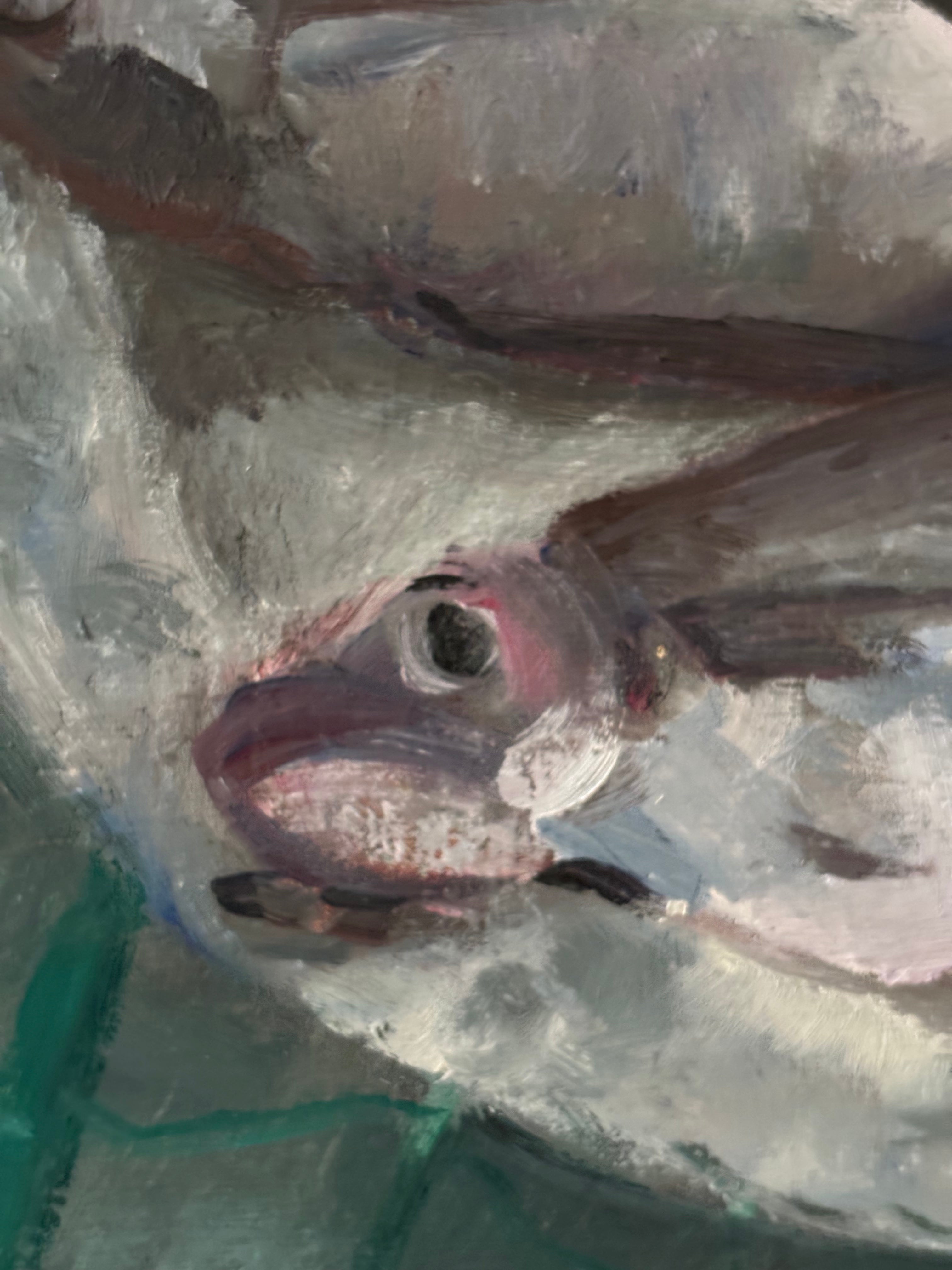 Fish on a White Plate