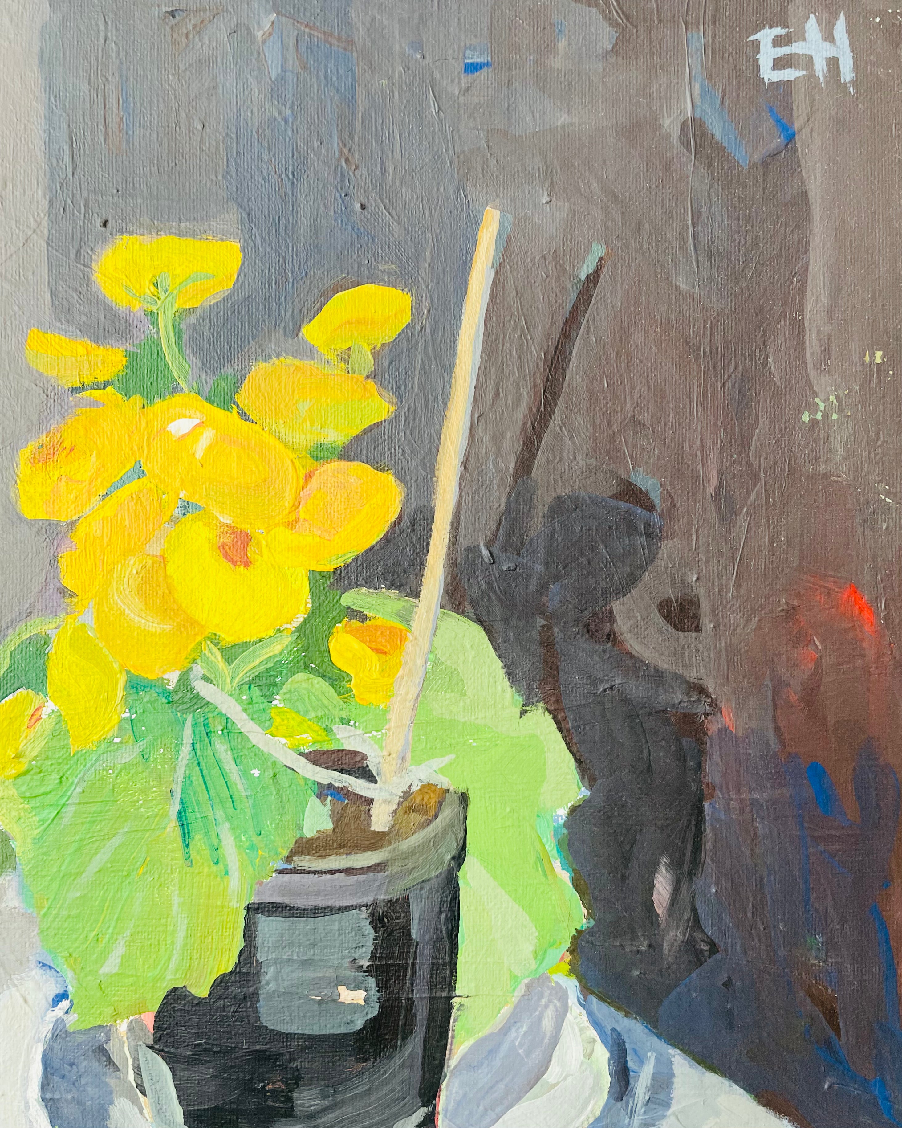 Yellow Begonia.