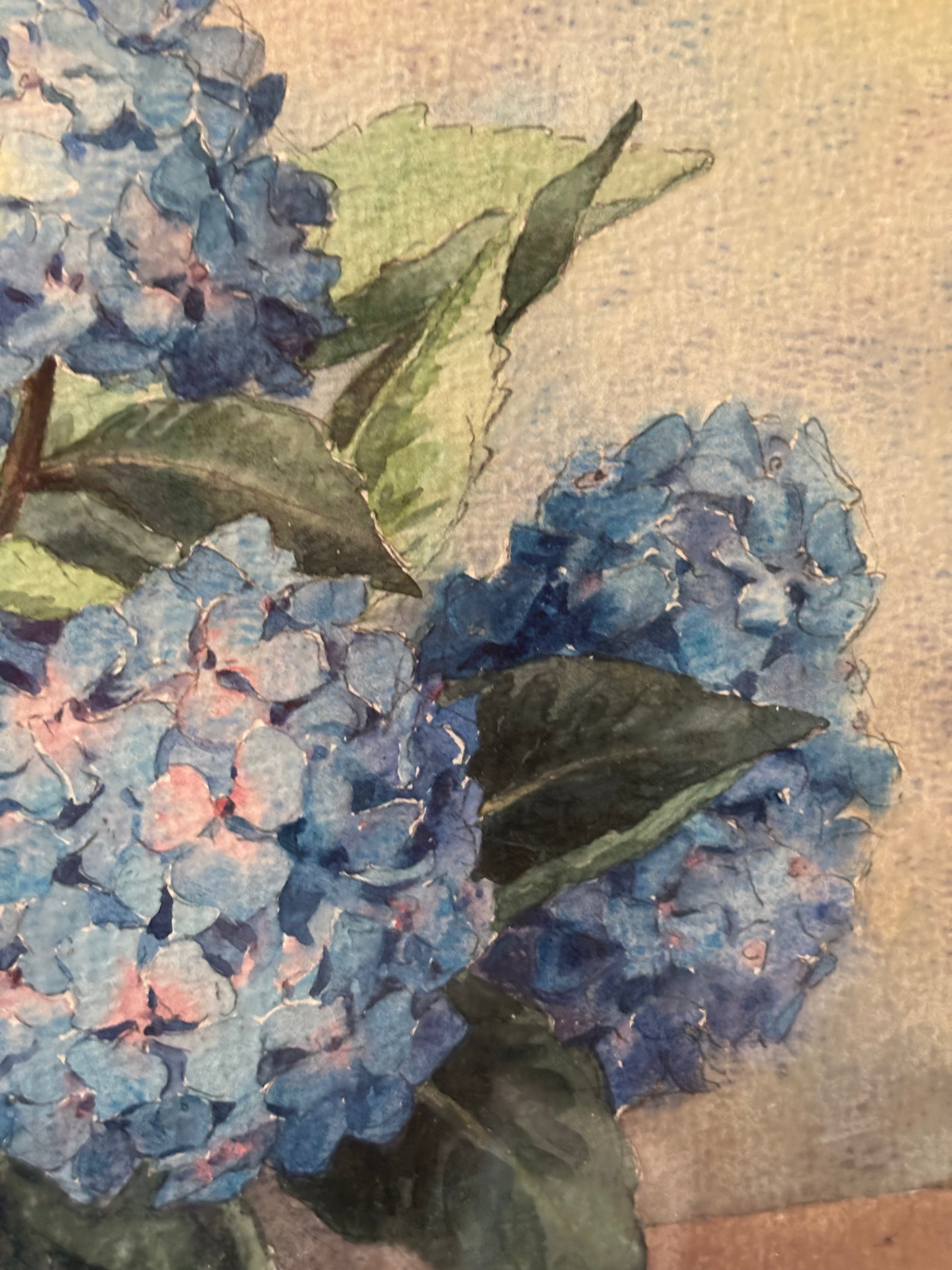 Blue Hydrangeas Watercolour