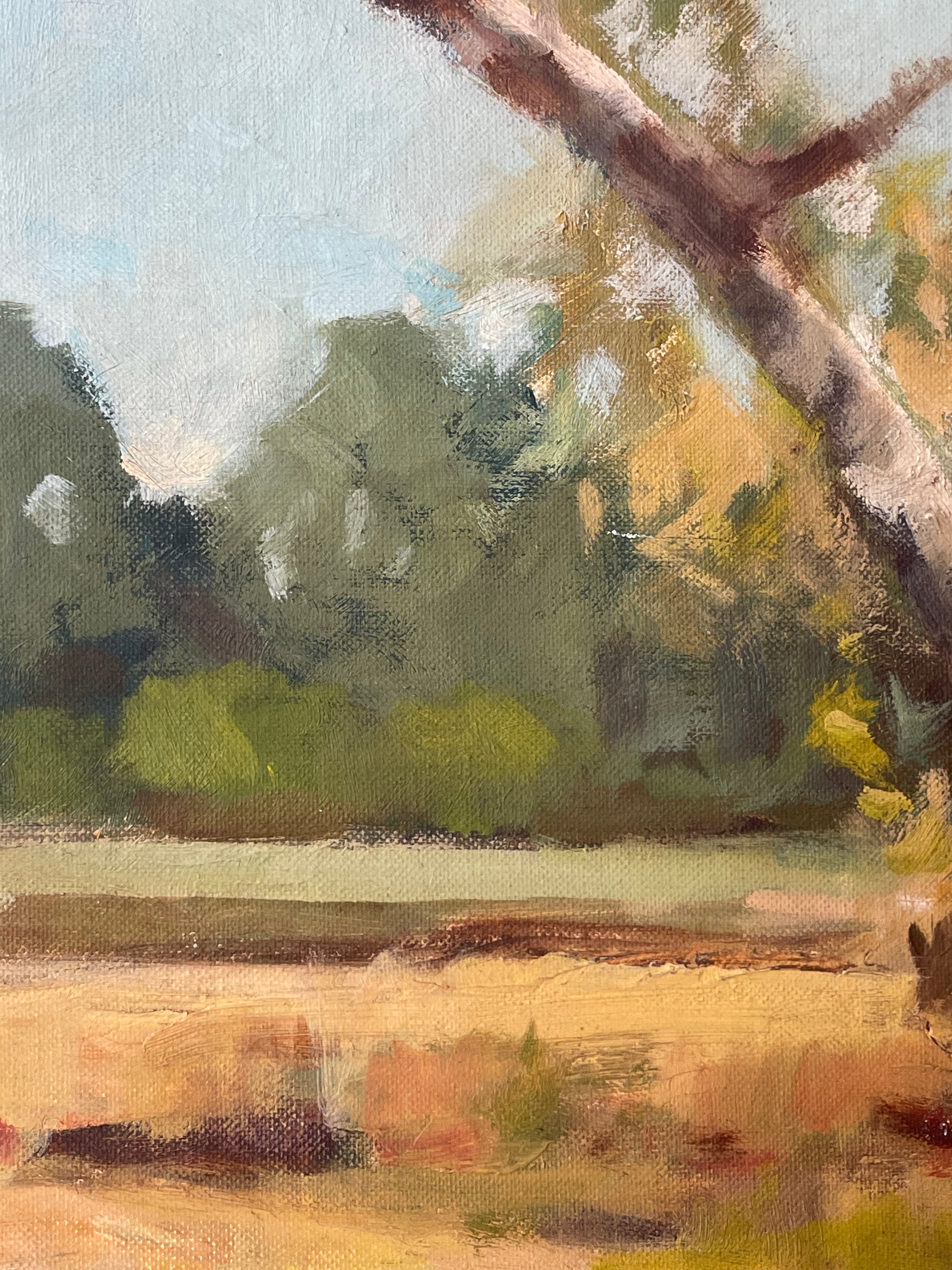 Blue Sky Landscape