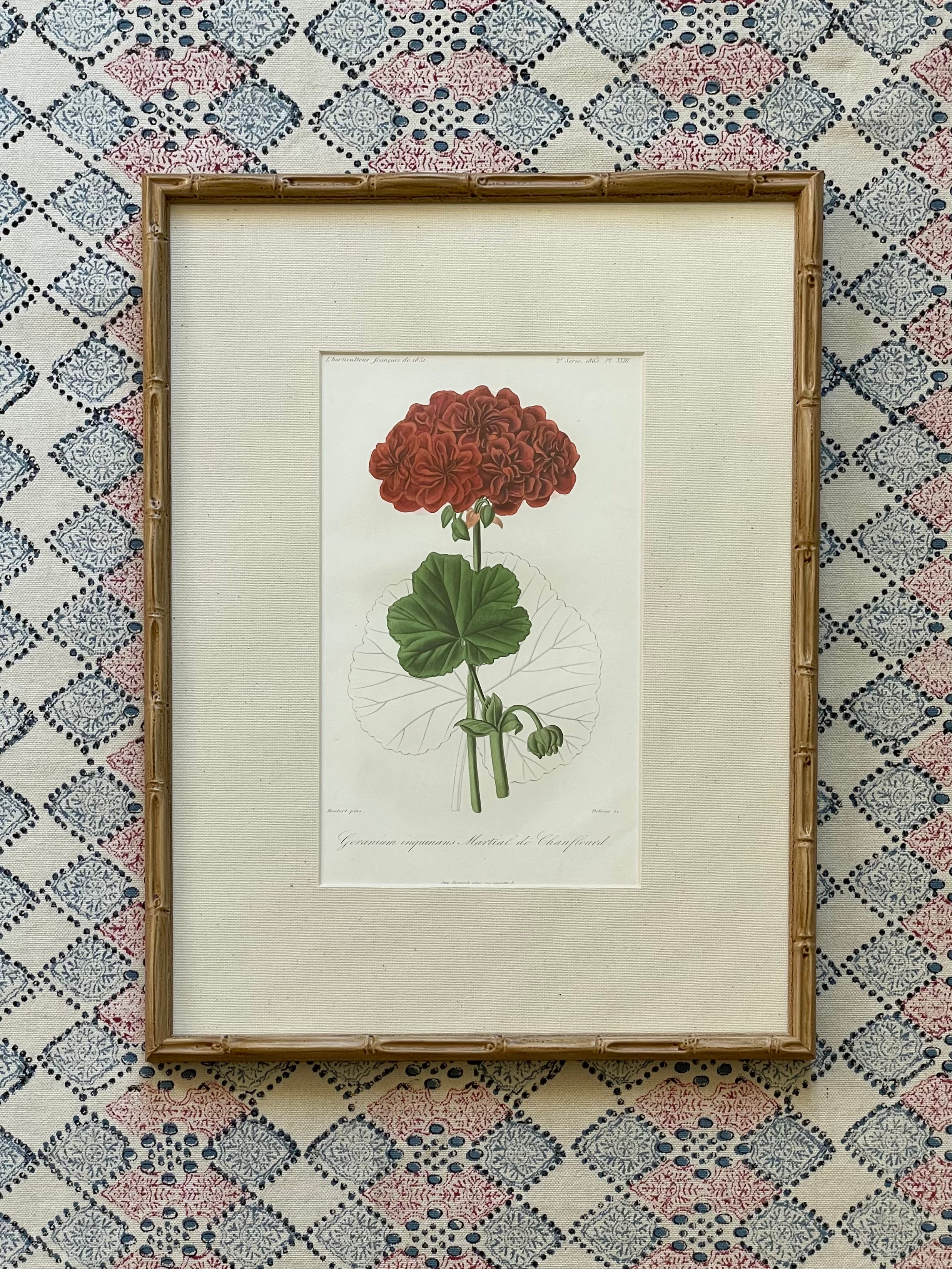 Vintage Geranium Prints