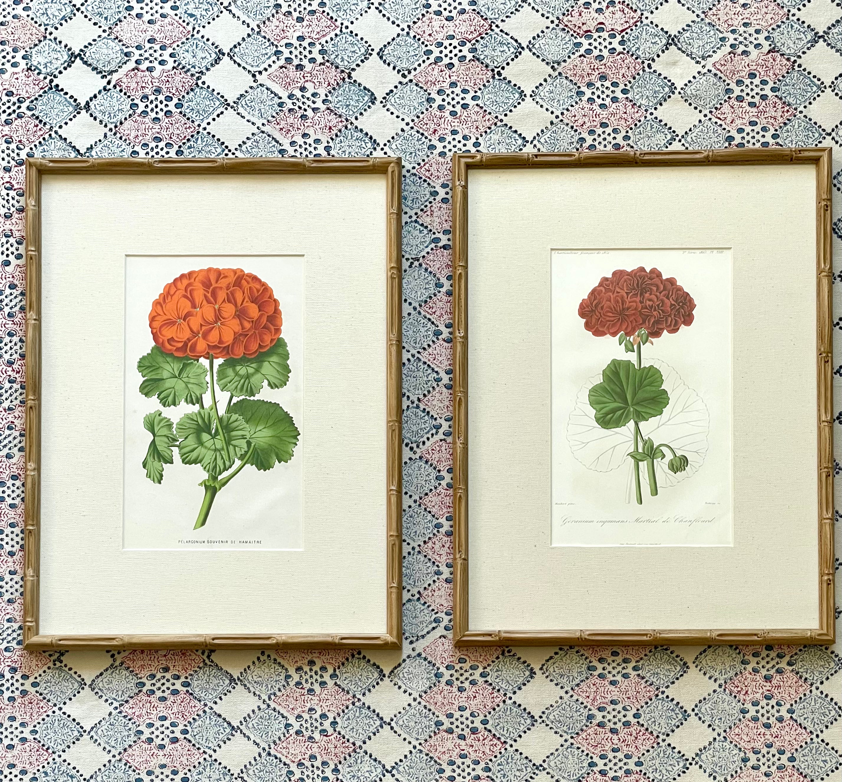 Vintage Geranium Prints