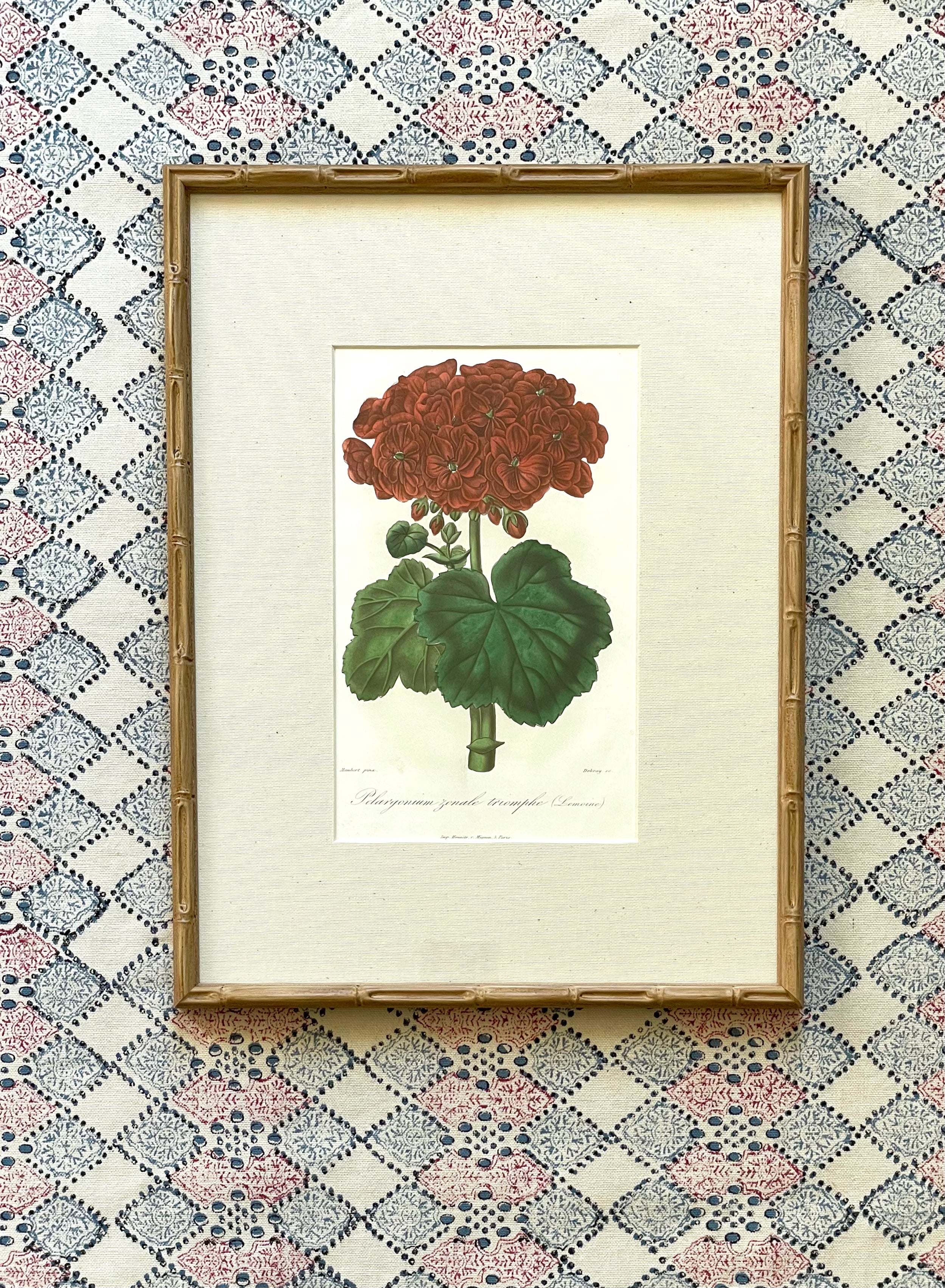 Vintage Geranium Prints