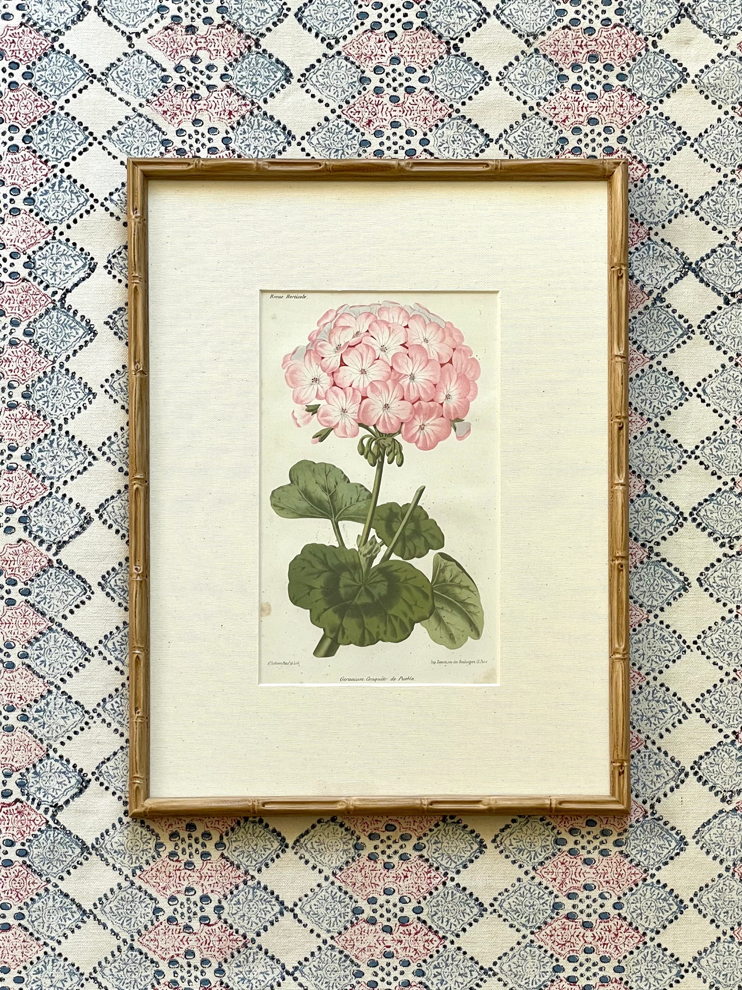 Vintage Geranium Prints