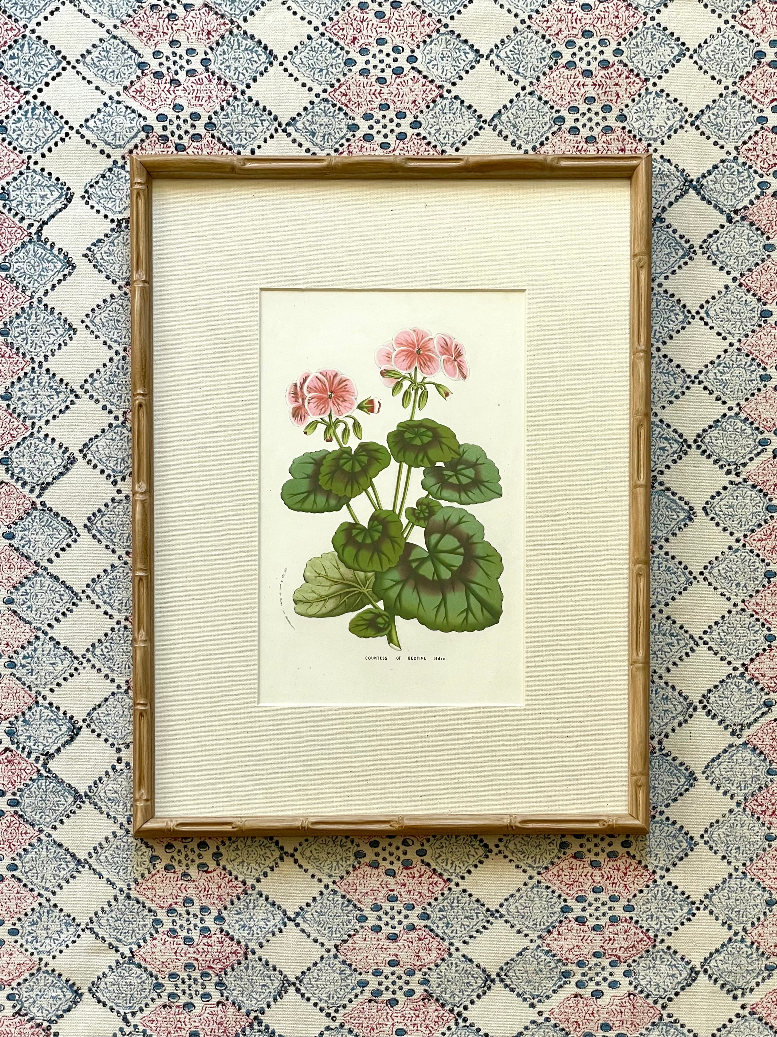 Vintage Geranium Prints
