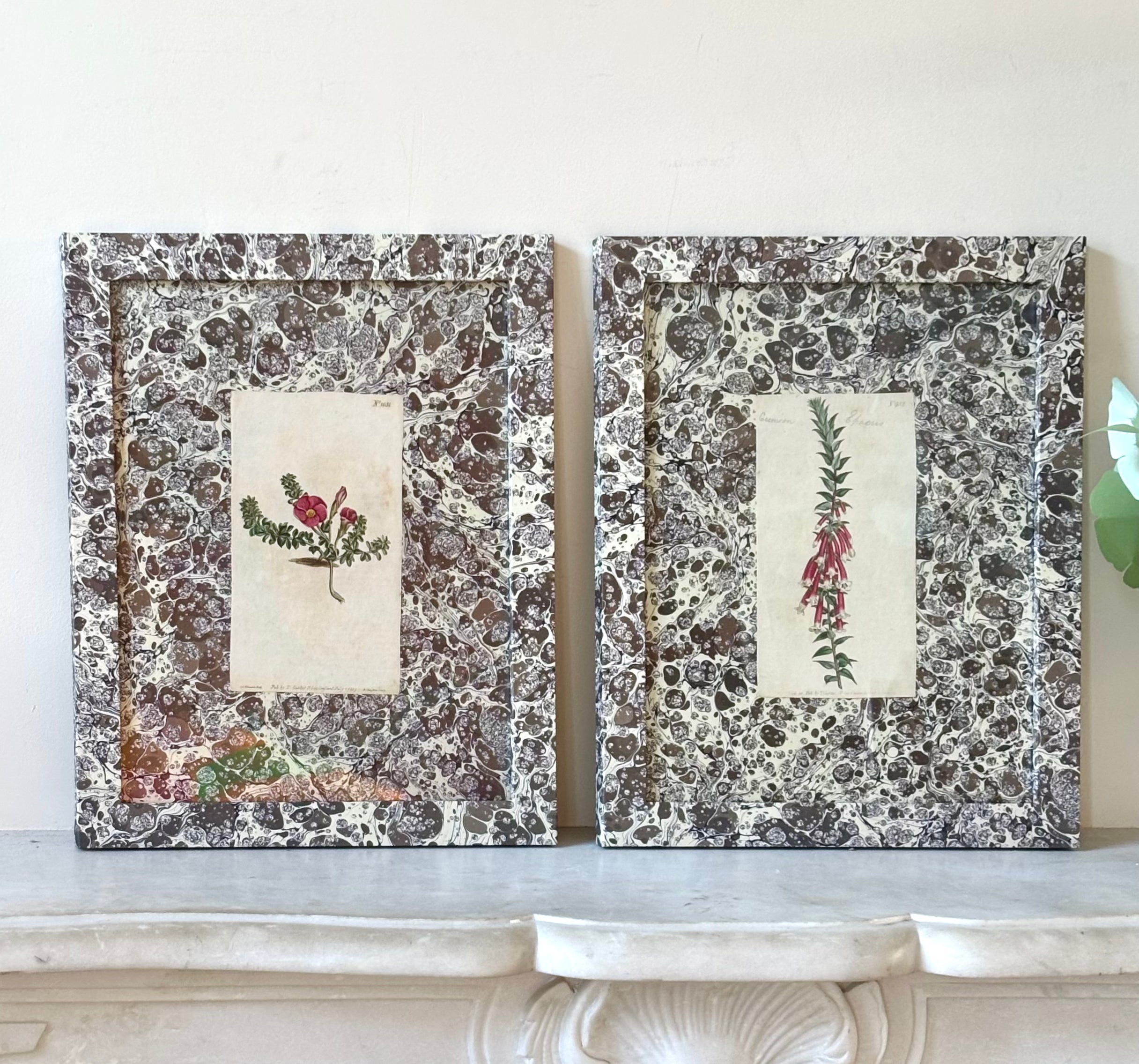 1807 Marbled Botanicals