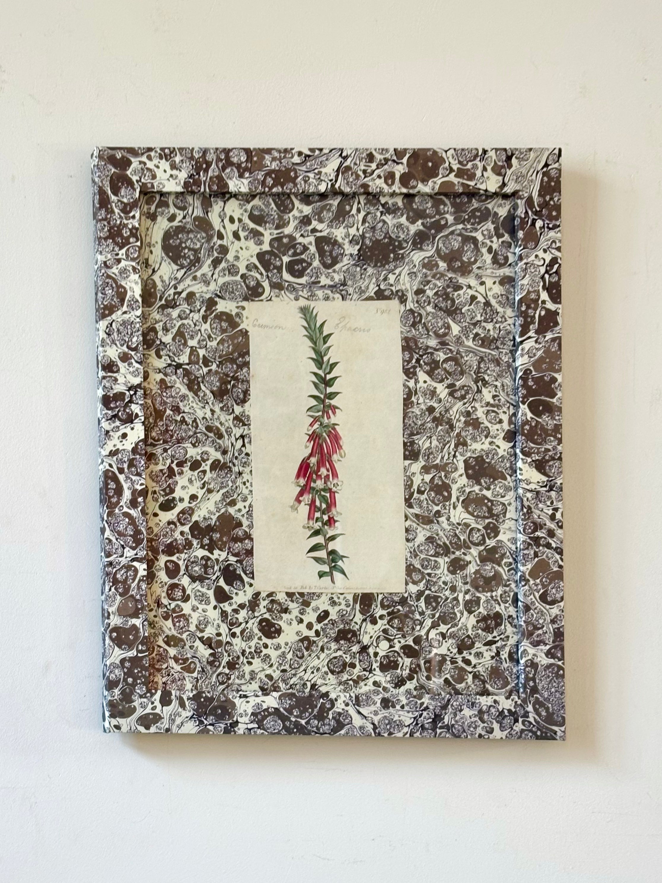 1807 Marbled Botanicals