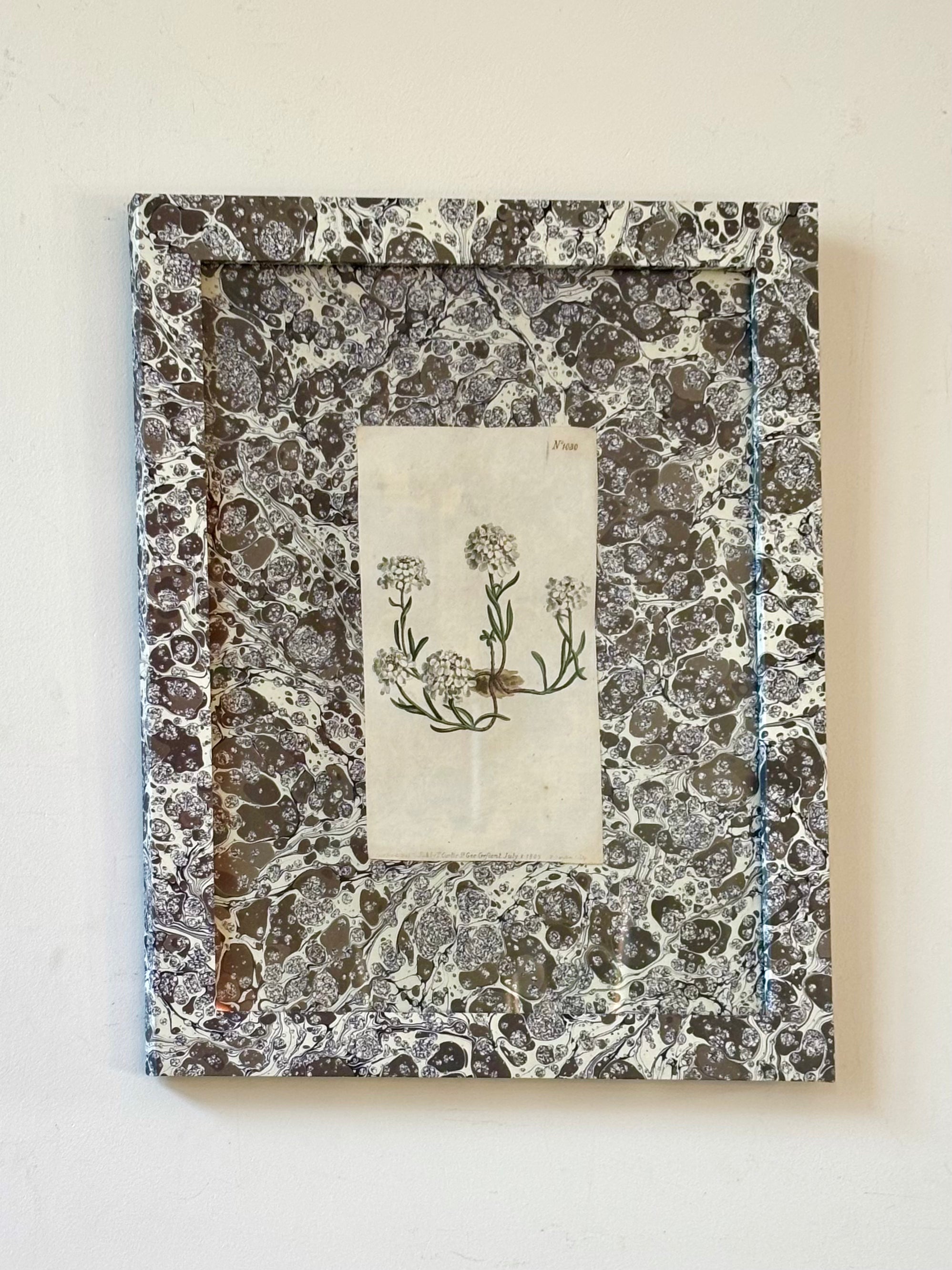 1807 Marbled Botanicals