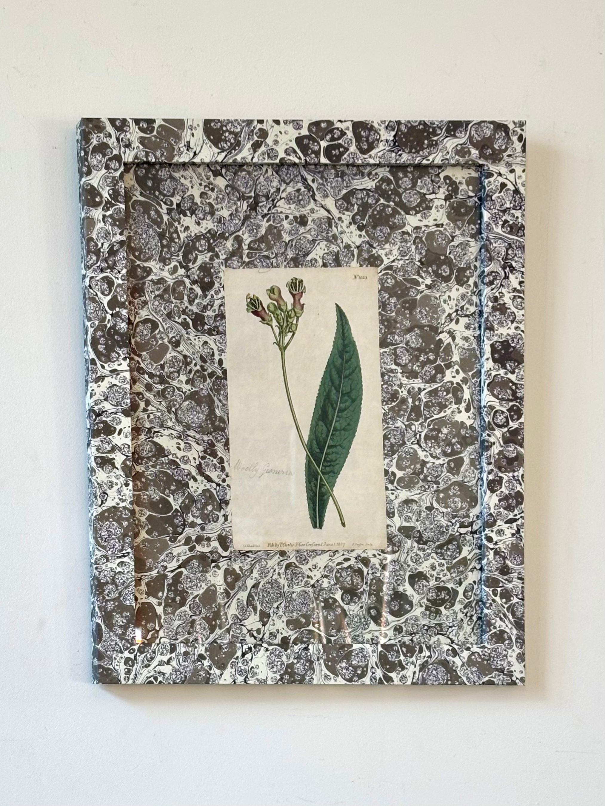 1807 Marbled Botanicals