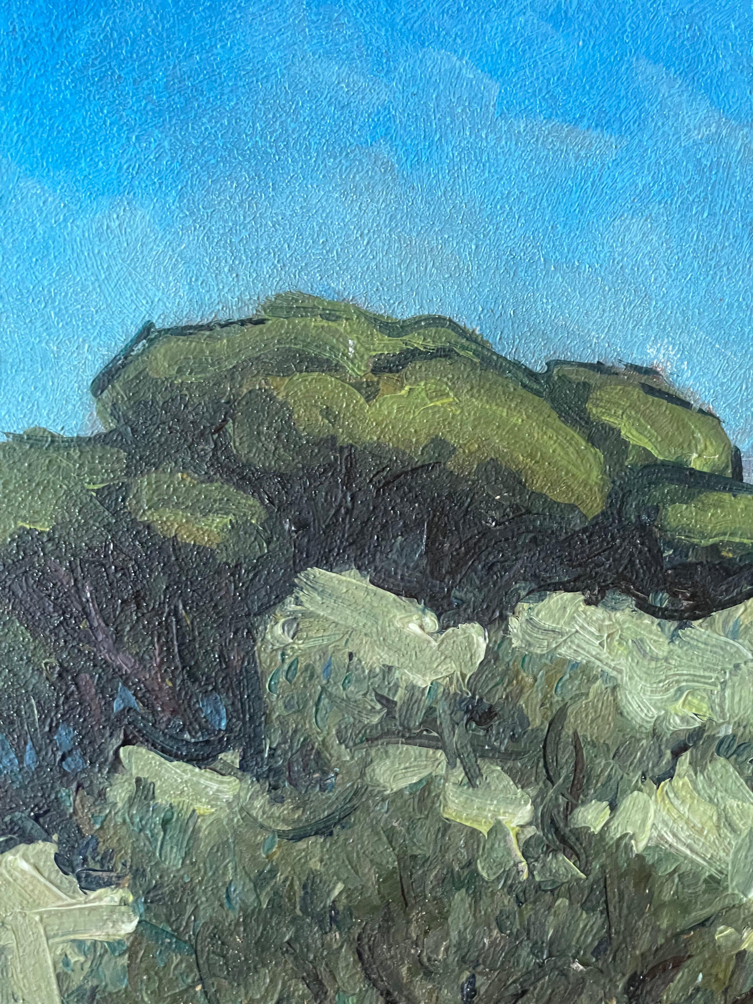 Mediterranean Landscape