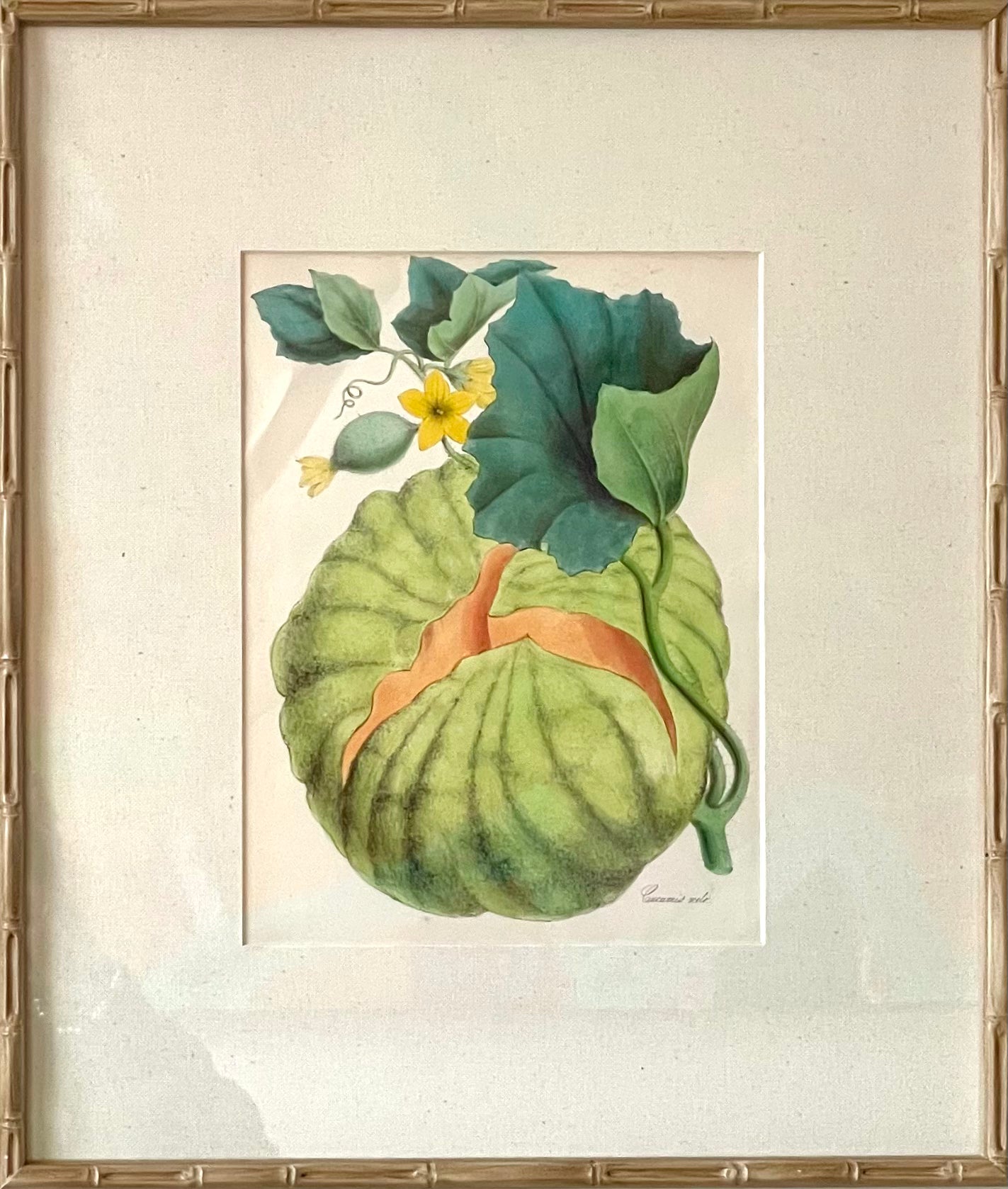 Melon