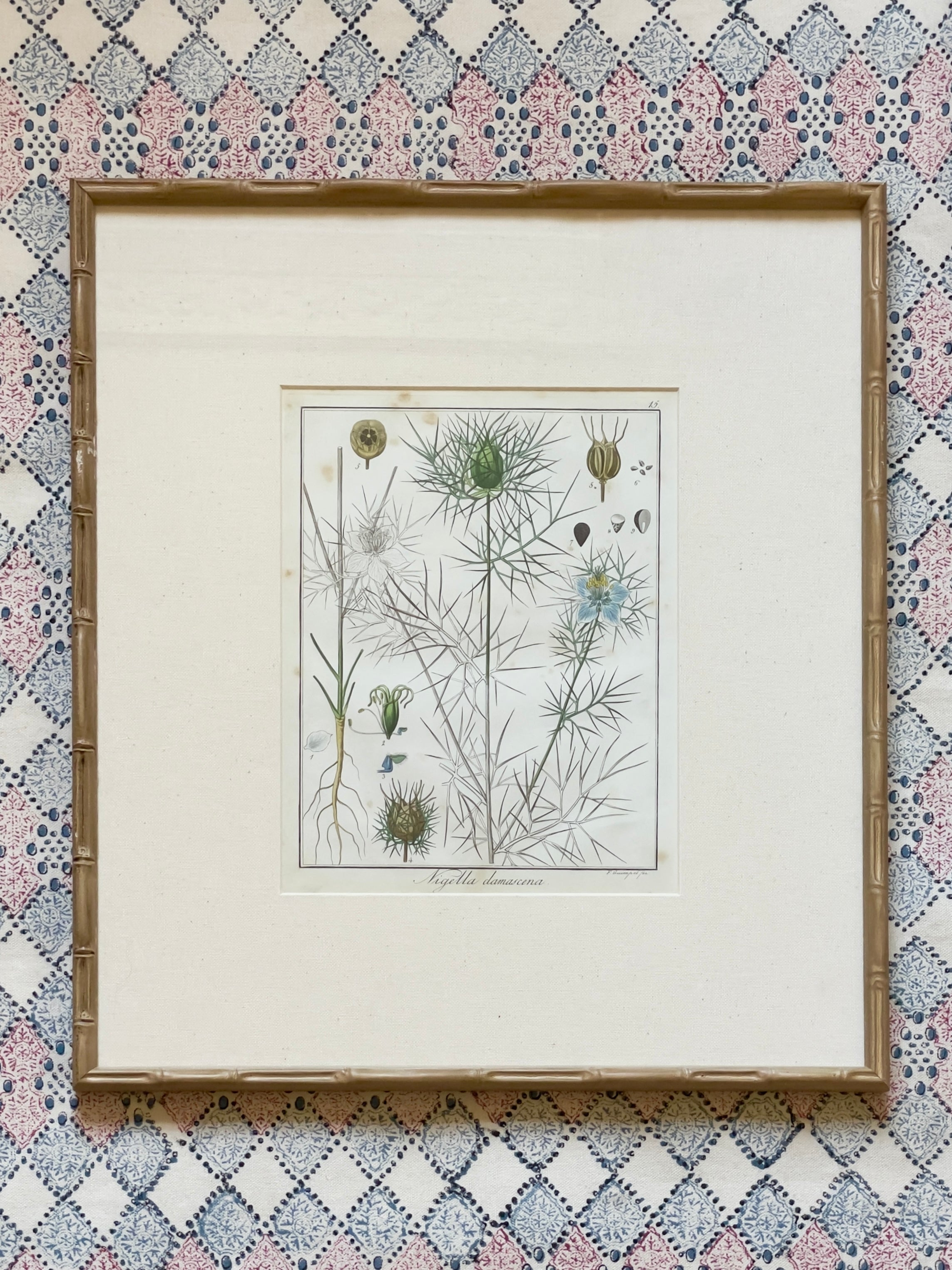 Large 1853 Guimpel Botanical Prints