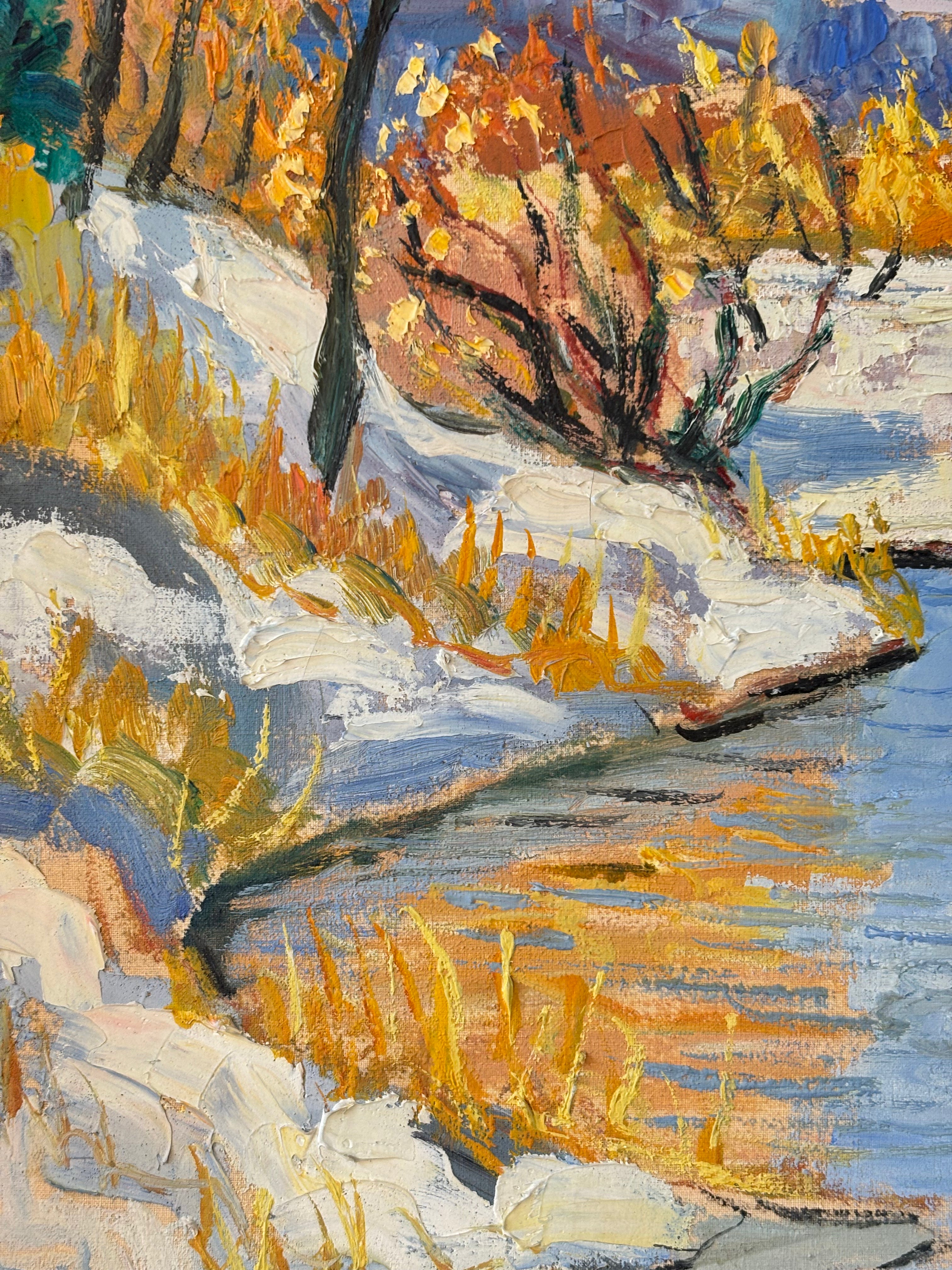 Snowy Landscape