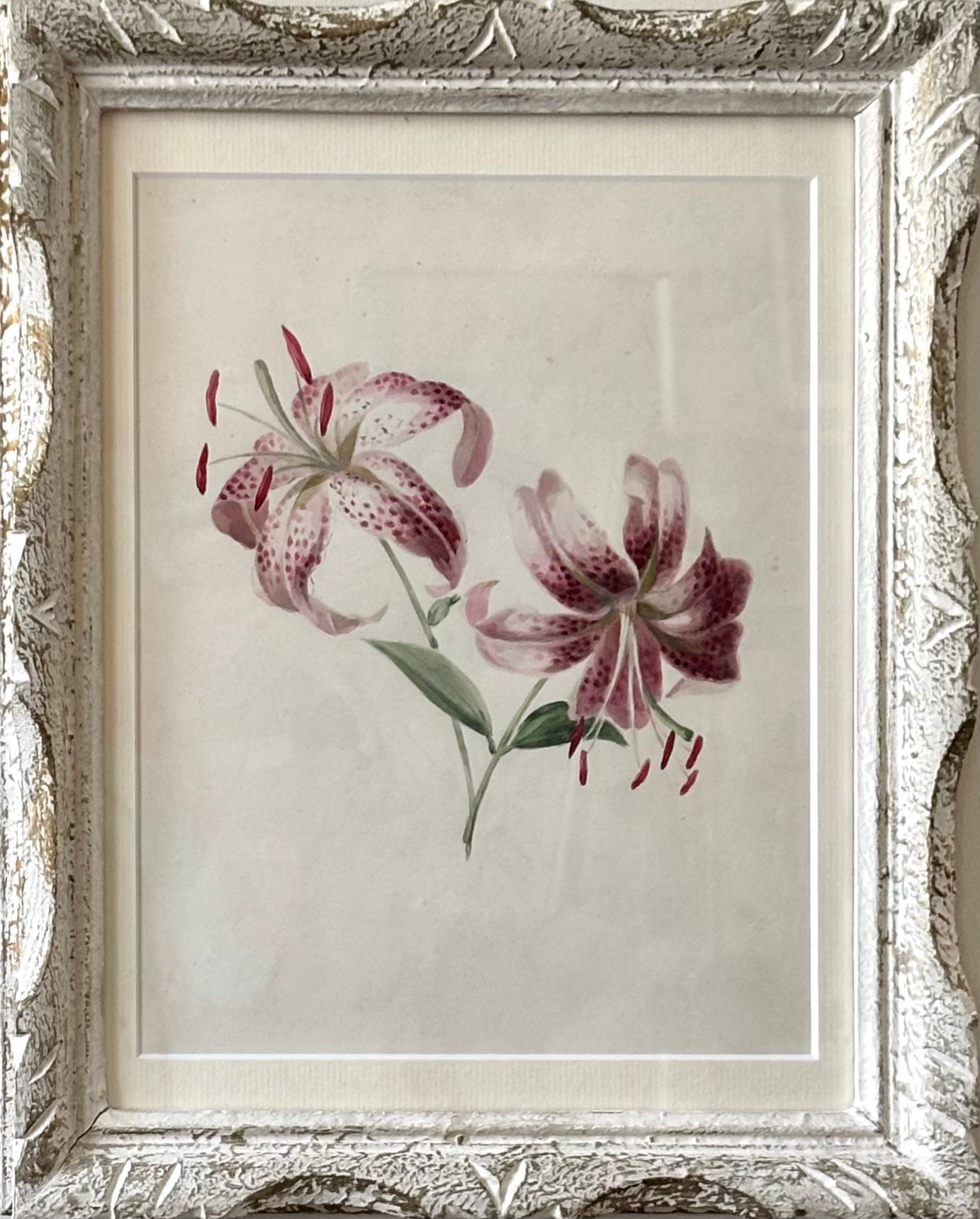 Tiger Lilies
