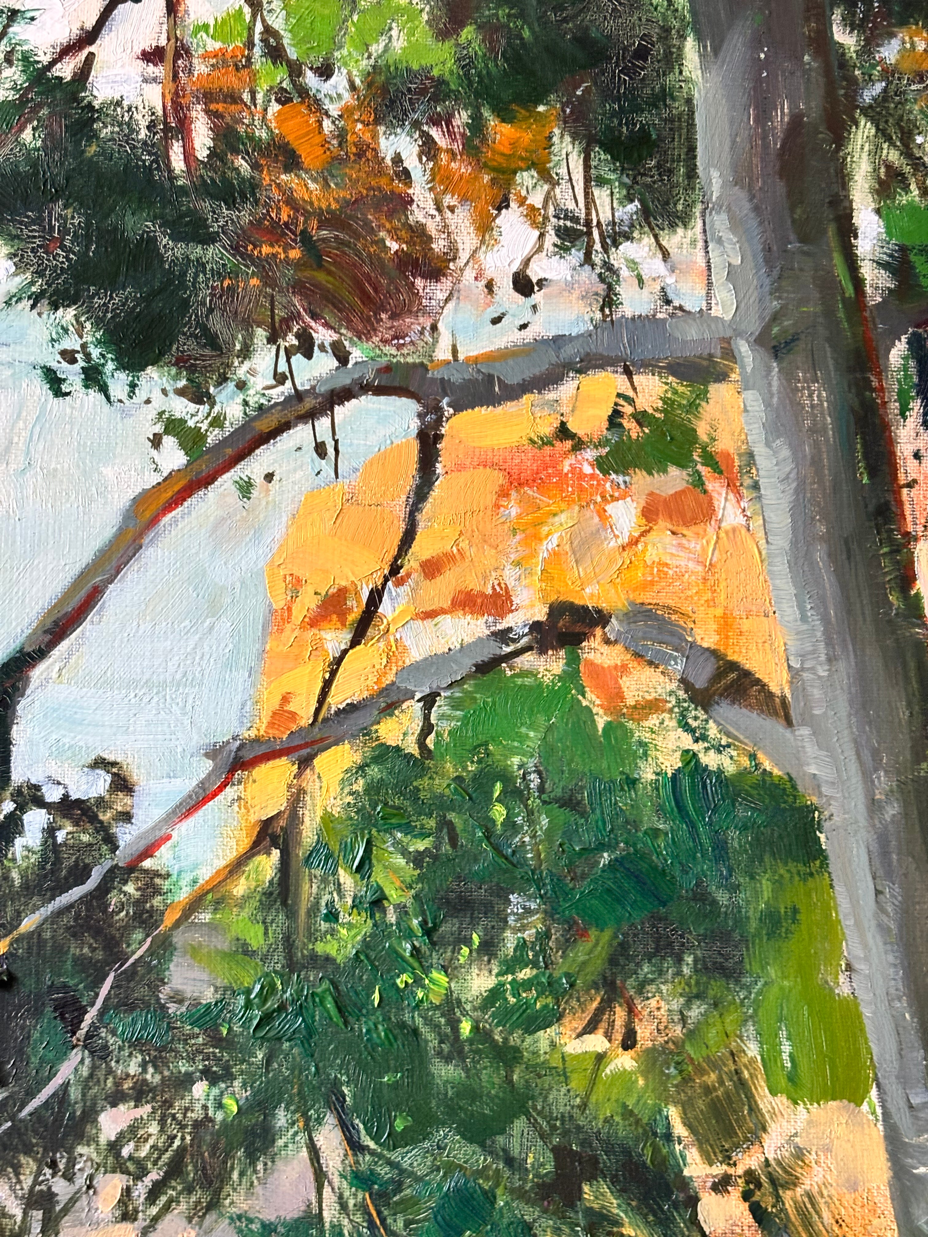 Mediterranean Cove