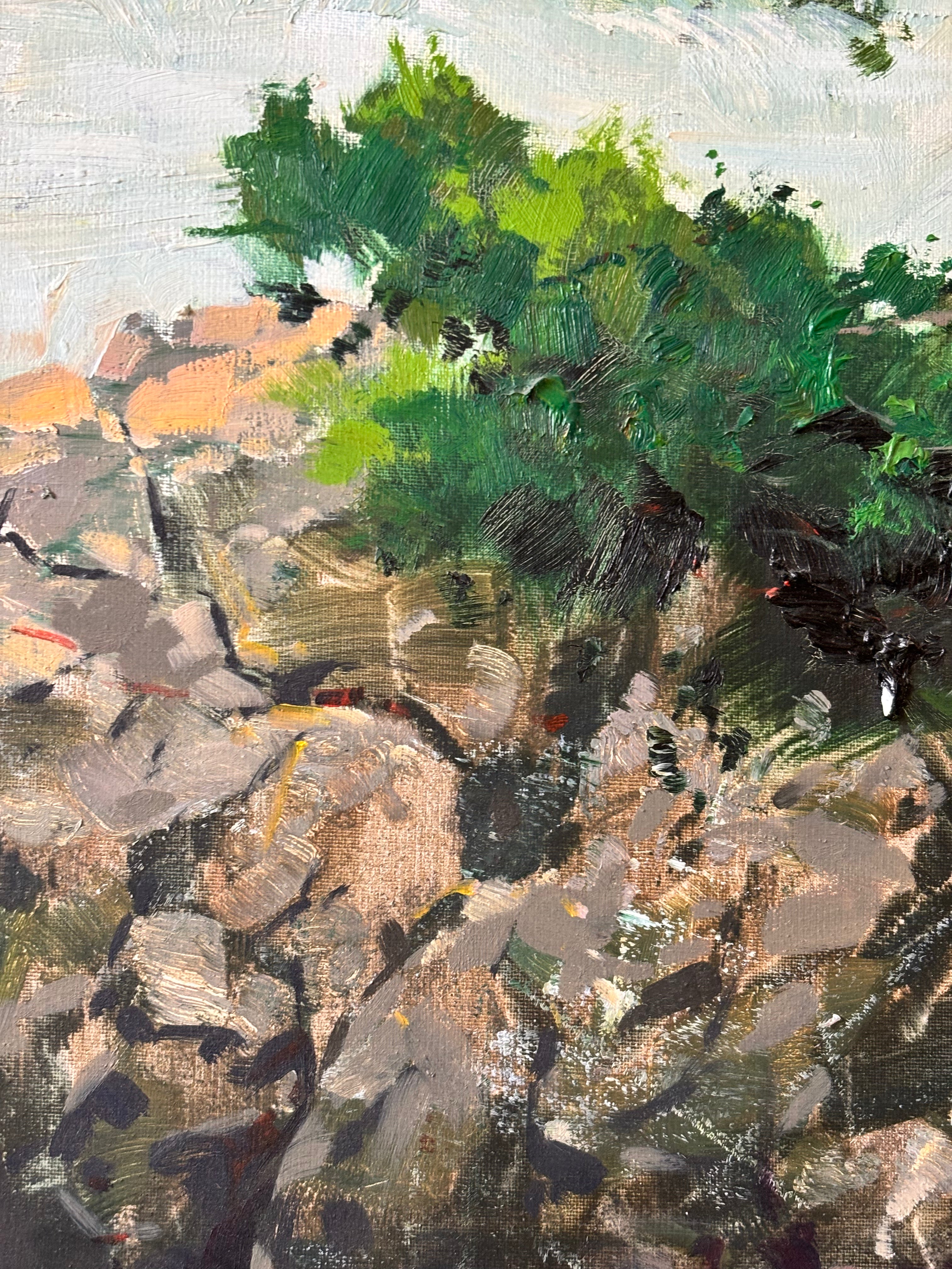 Mediterranean Cove