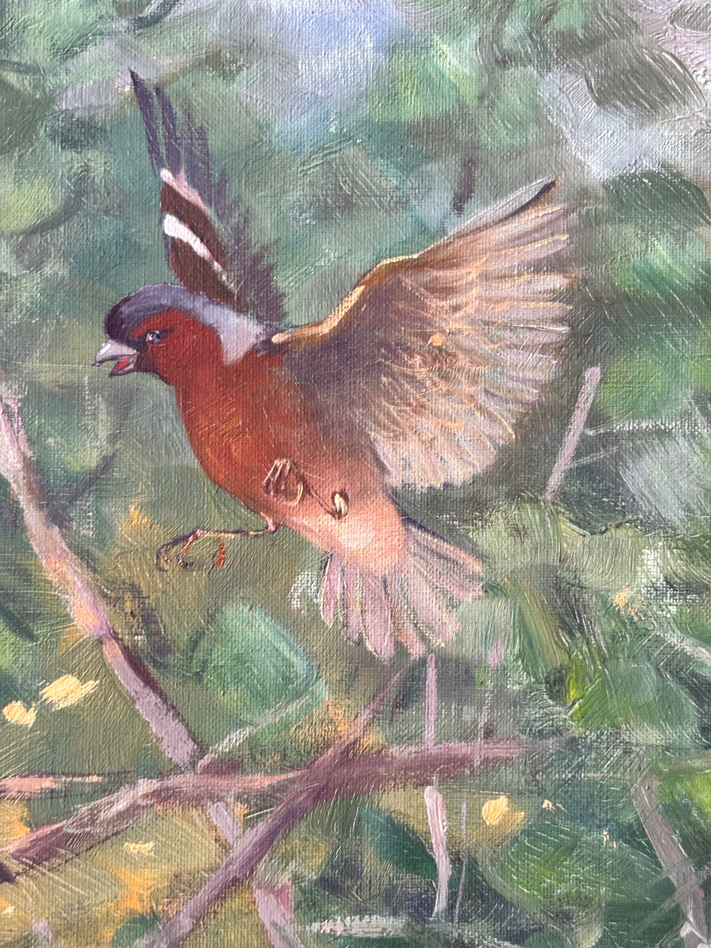Finches in the Nest