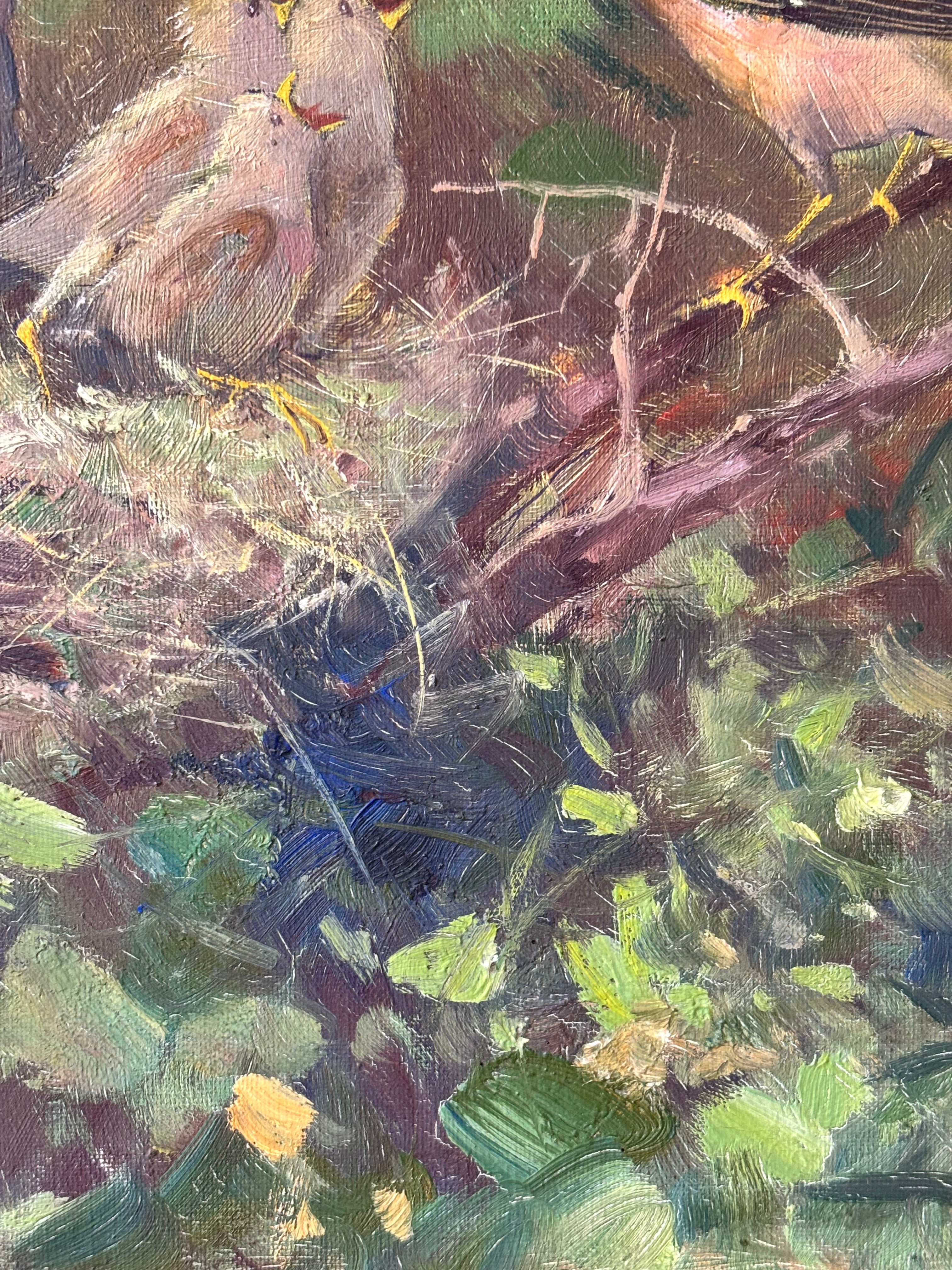 Finches in the Nest