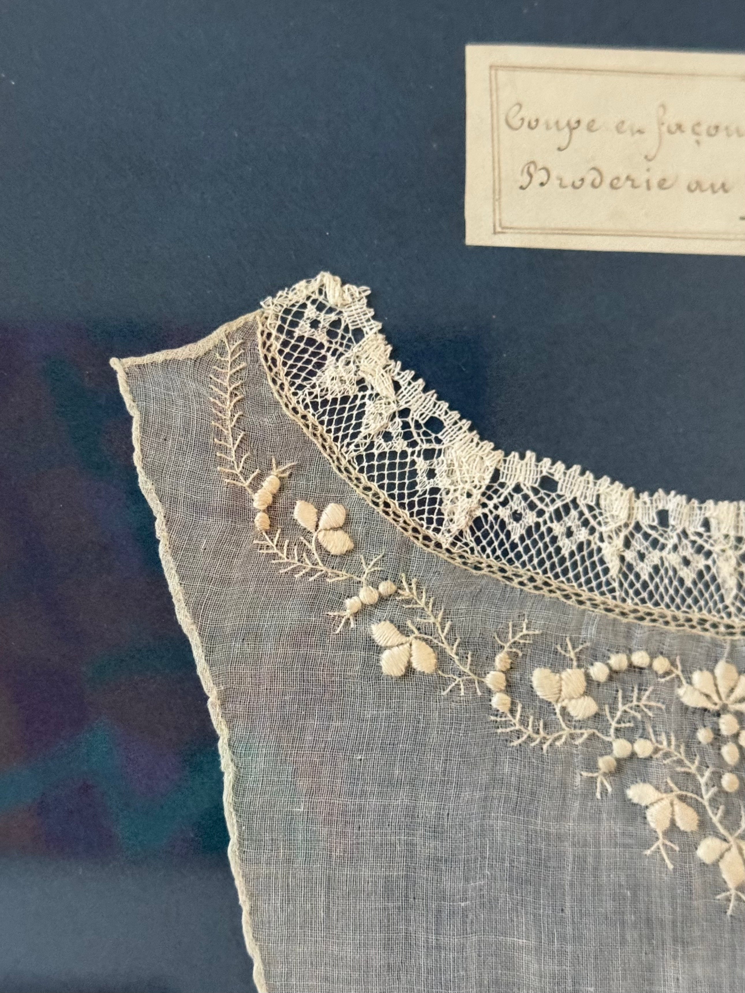 Lace and Needlework Samplers