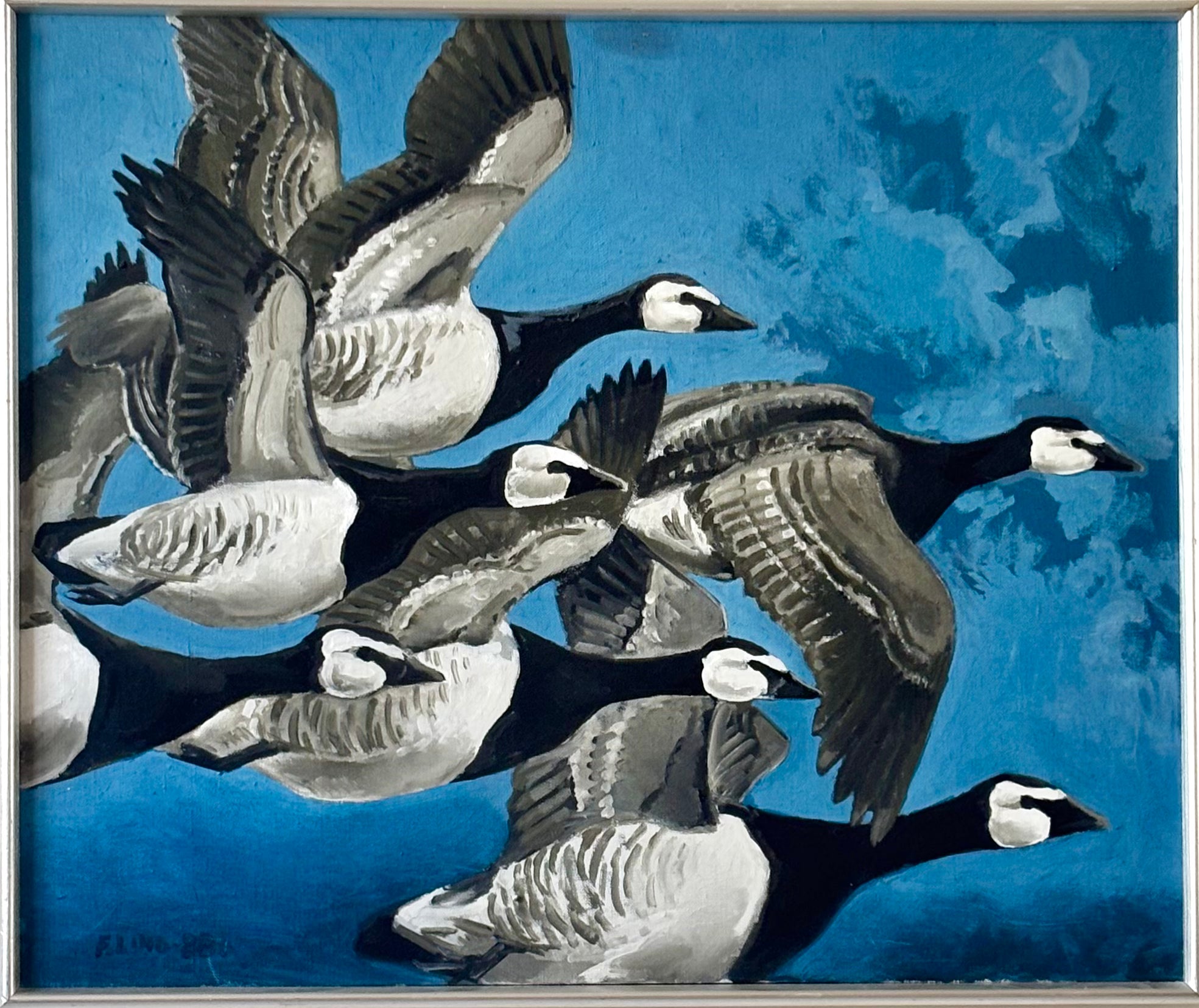 Canada Geese