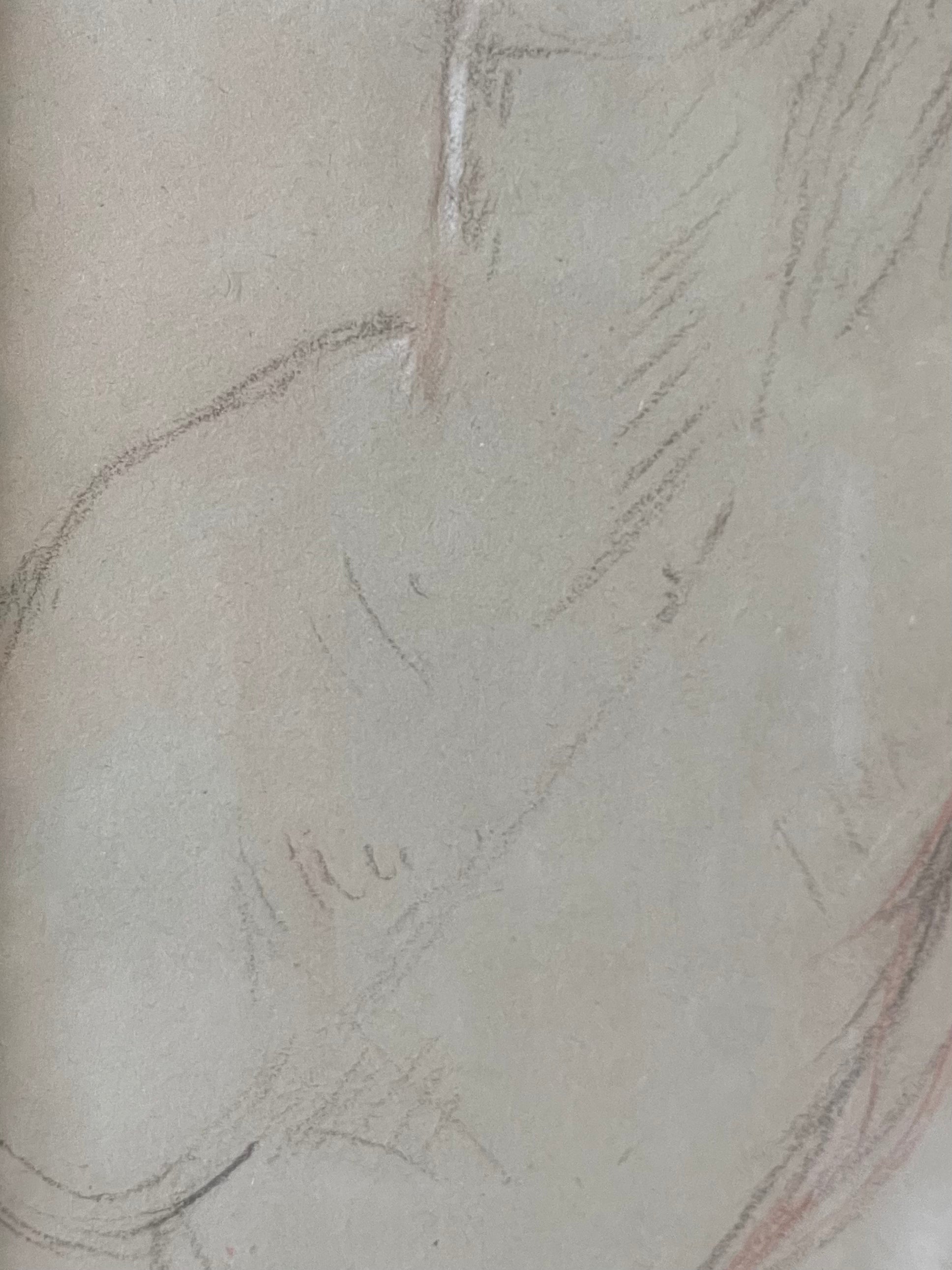 Plumptious Nude