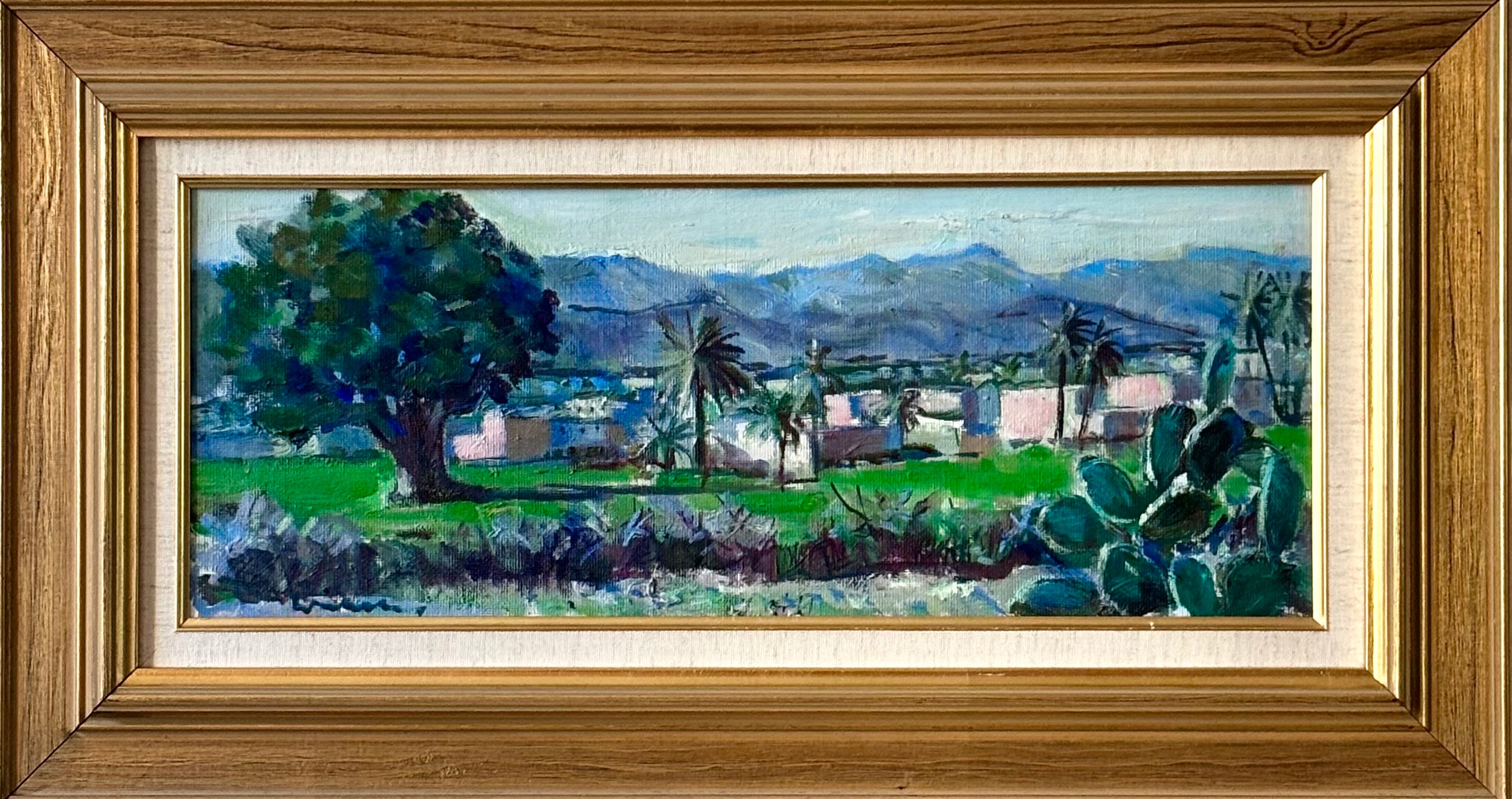 Moroccan Landscape in Spring